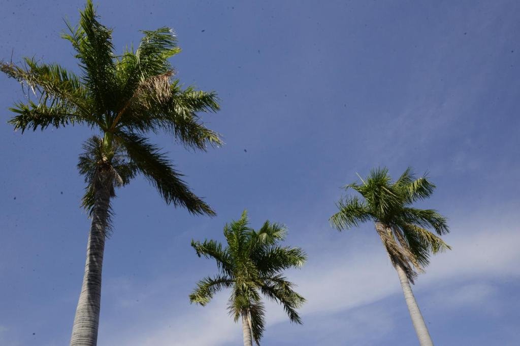 Фото Katherine Motel