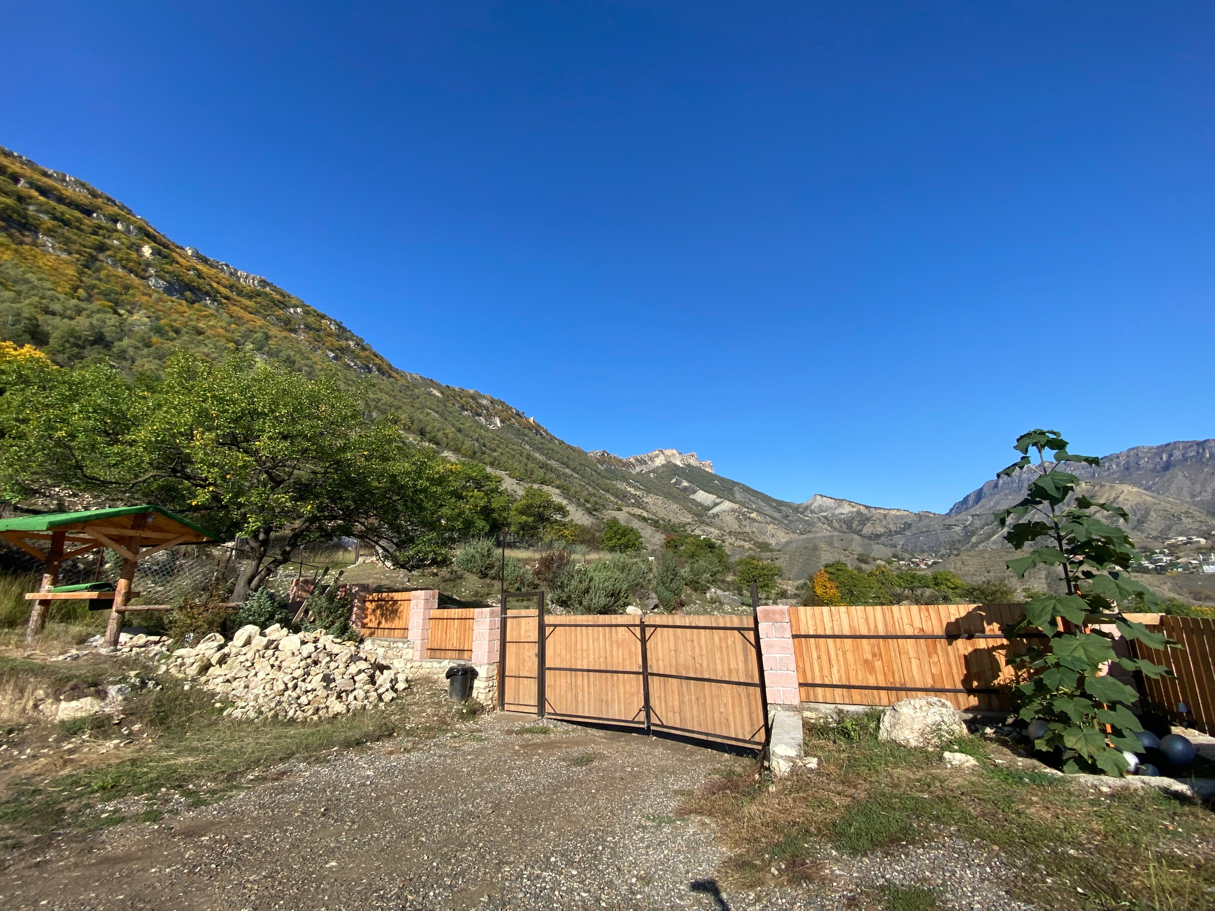 Фото Сиреневый рассвет