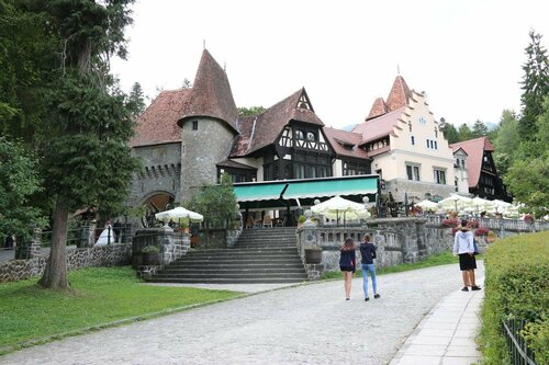 Гостиница Hotel Carpathia Sinaia