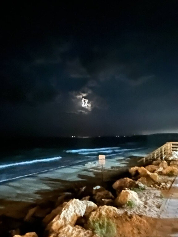 Фото Морской берег