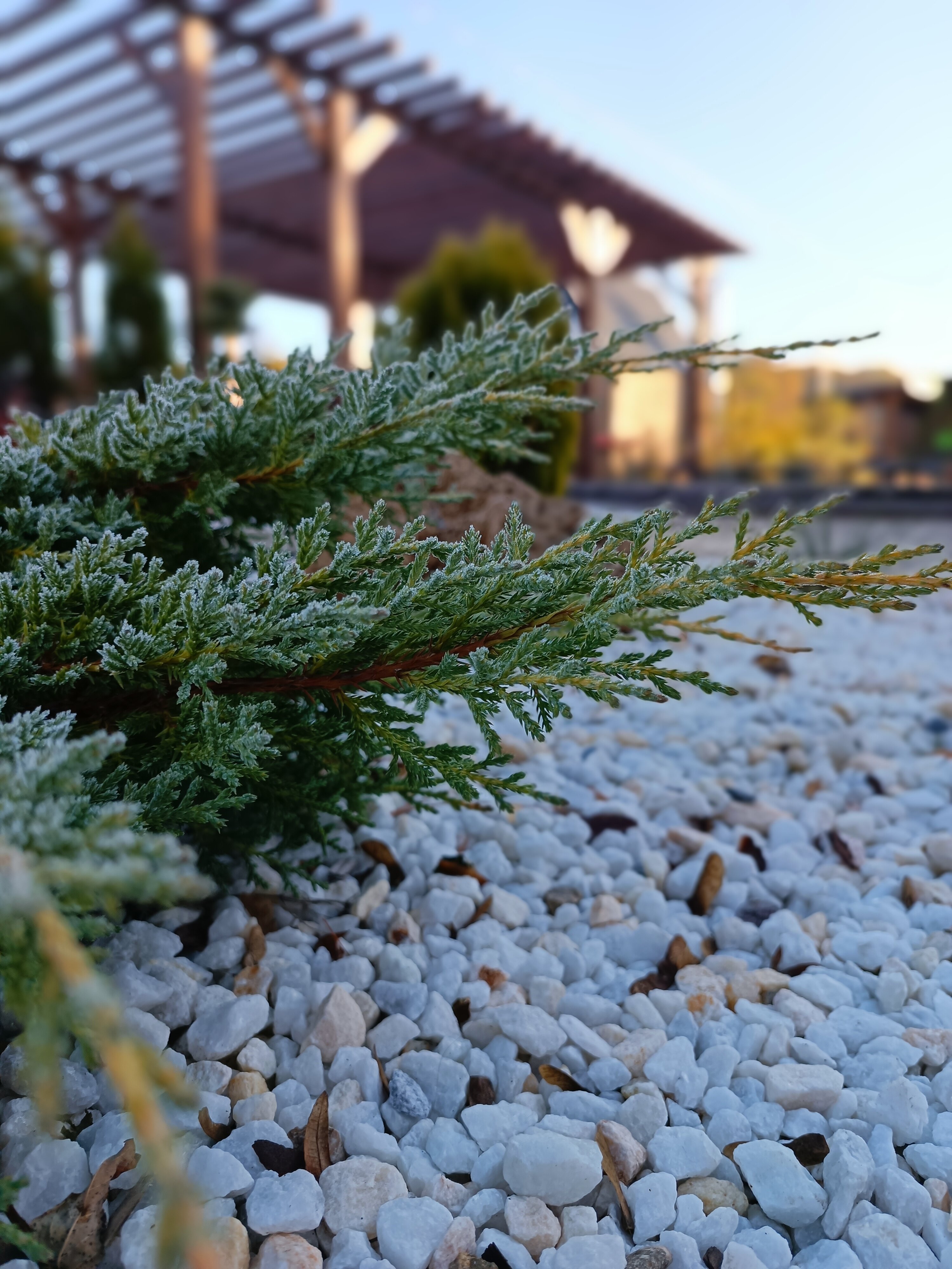 Фото Hygge House