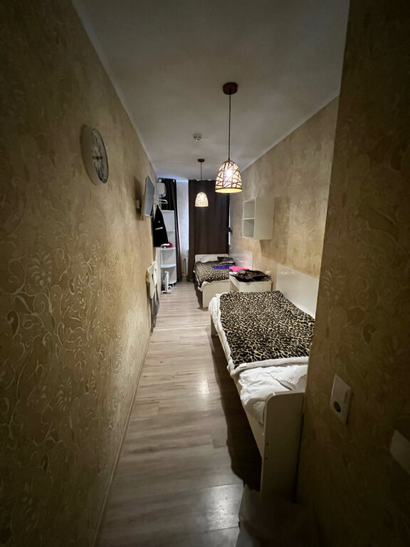 Фото Crocus Star