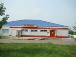 Magnit (stanitsa Starominskaya, Privokzalnaya ulitsa, 124) ، محل بقالة