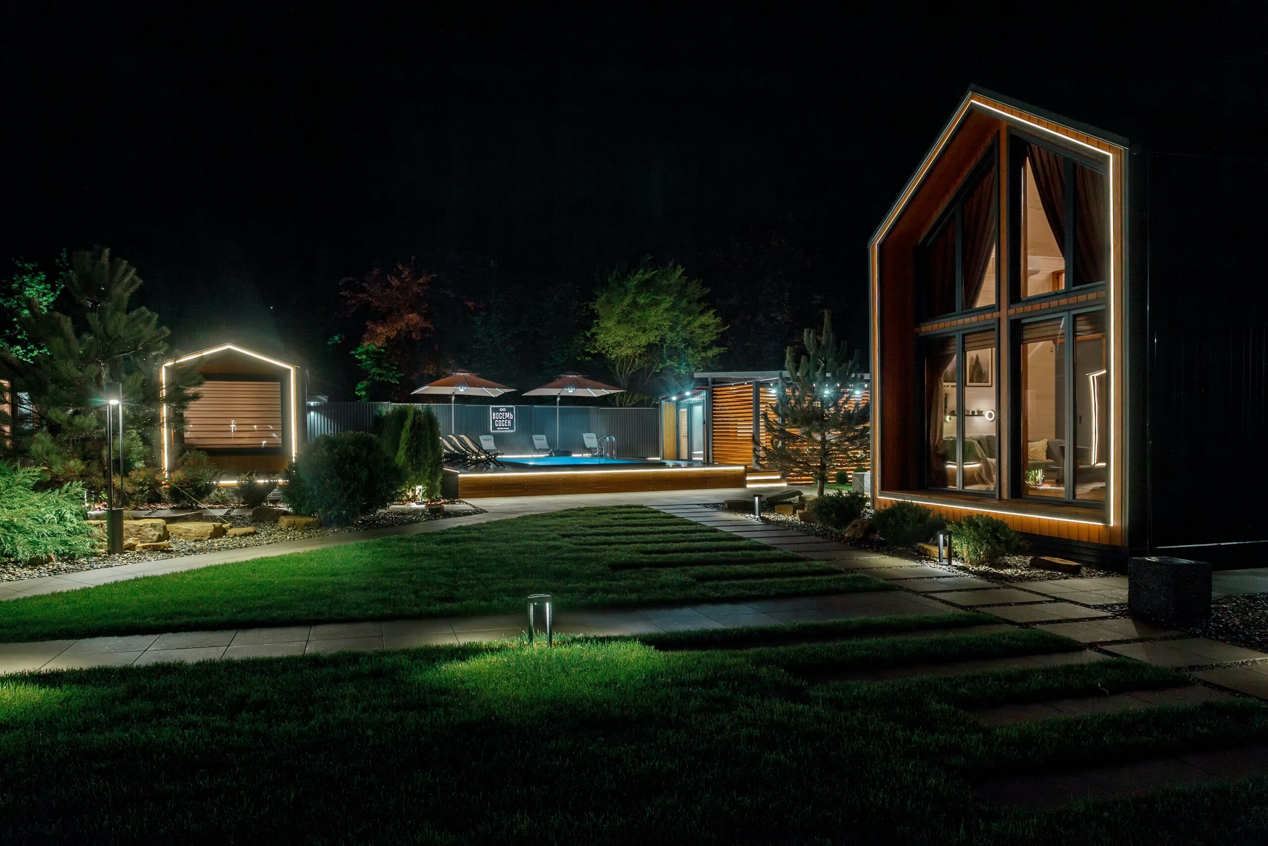 Фото 8 Сосен