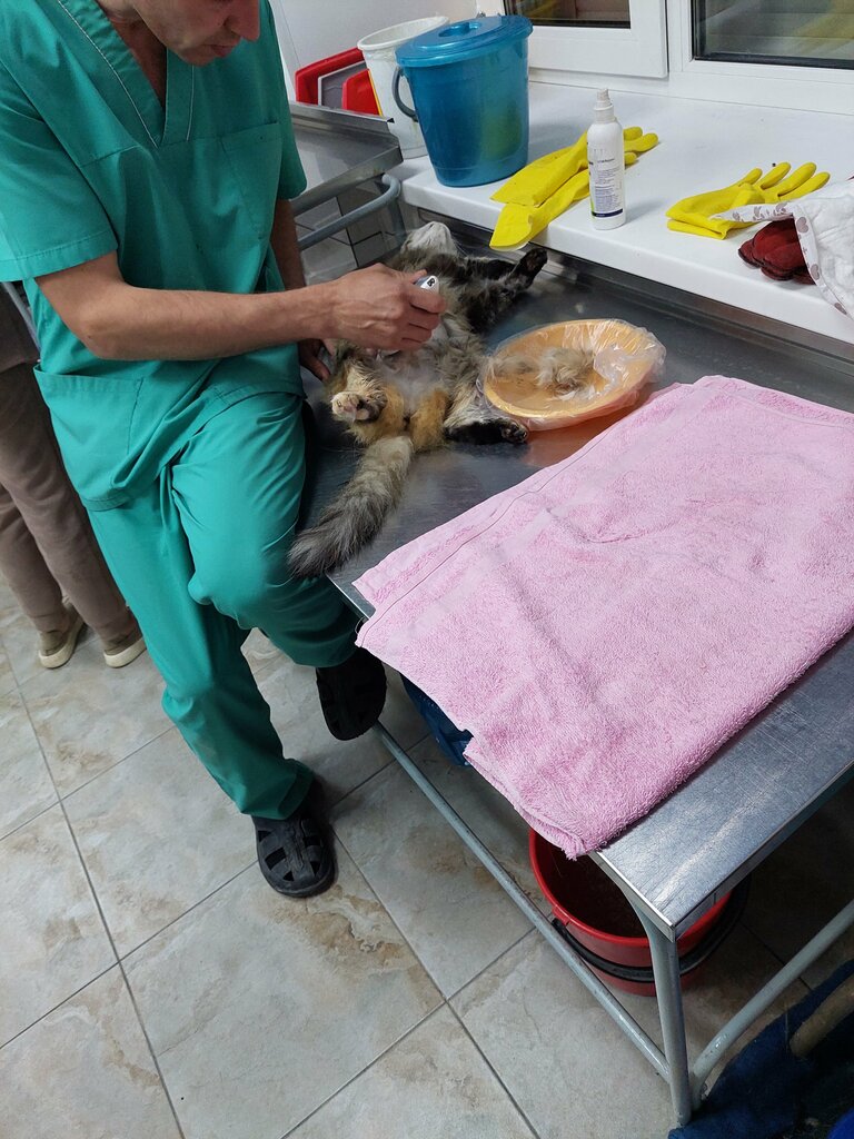 Veterinary clinic Gosudarstvennoye veterinarnoye upravleniye, Dzerzhinsk, photo