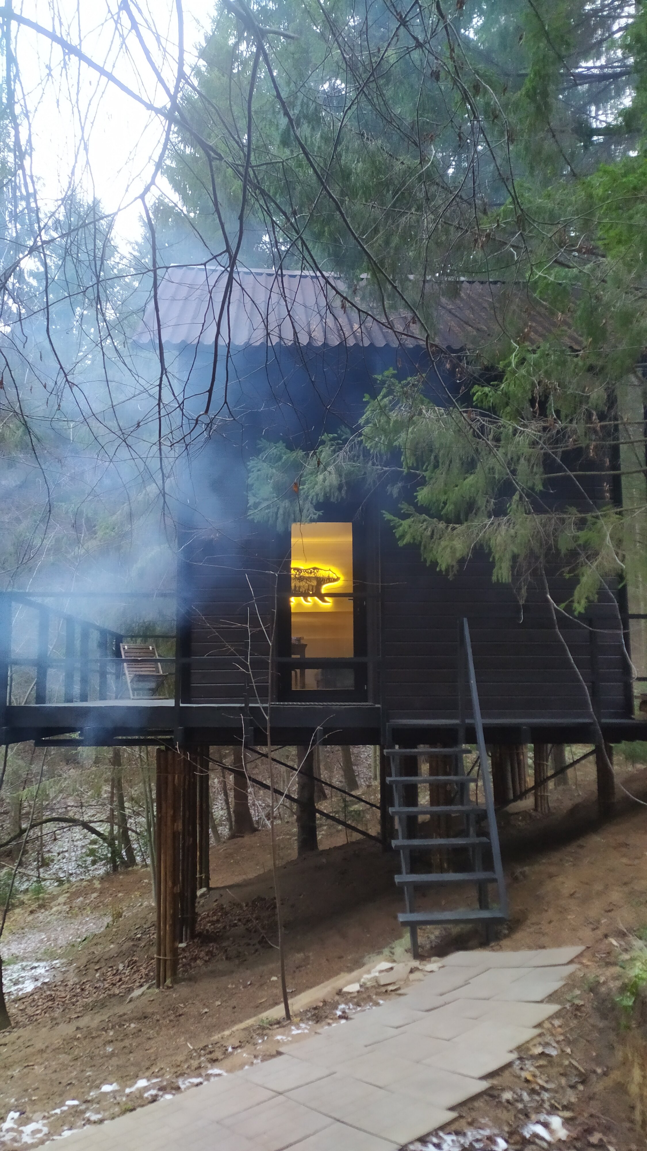 Фото Опушка