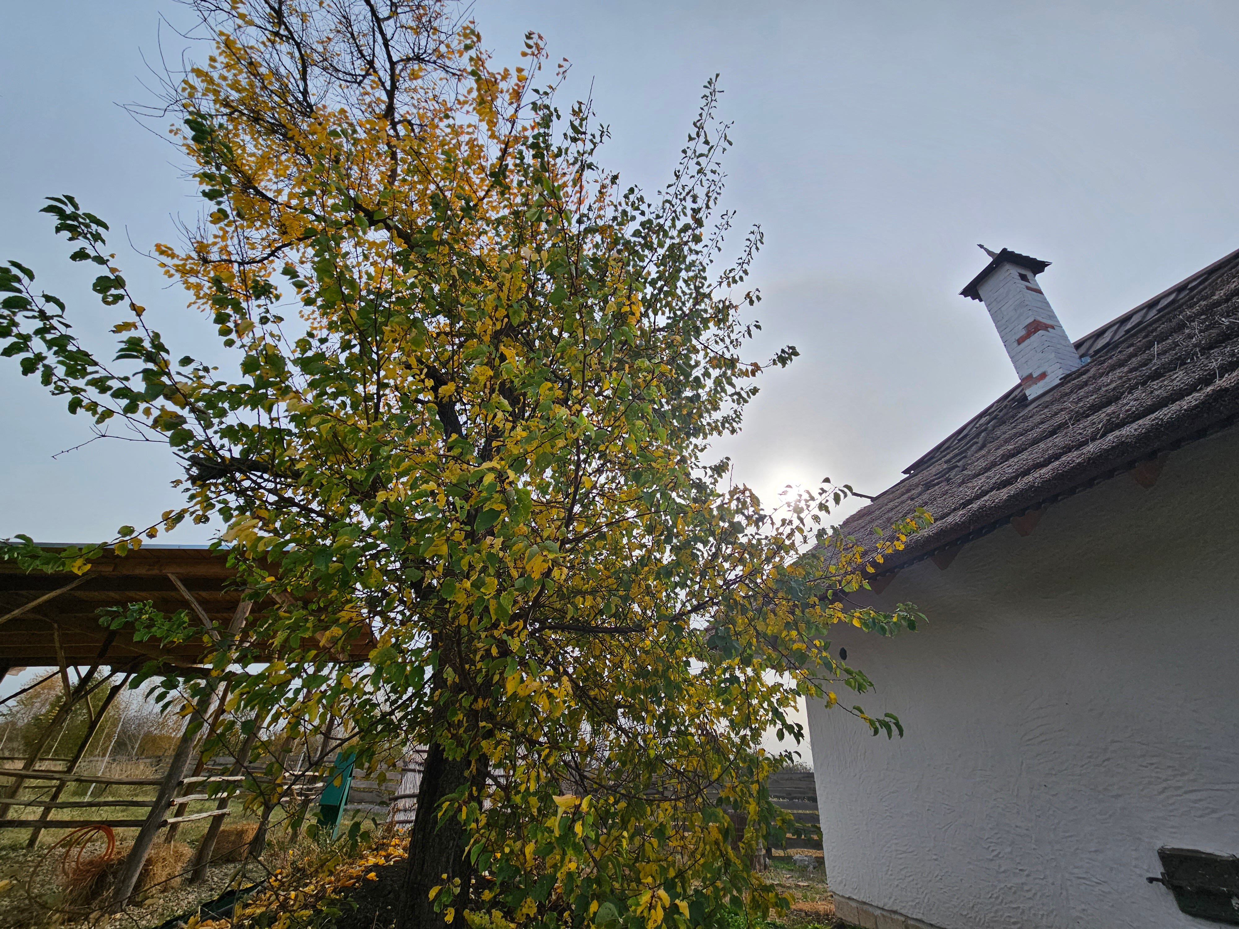 Фото Кубанский хуторок