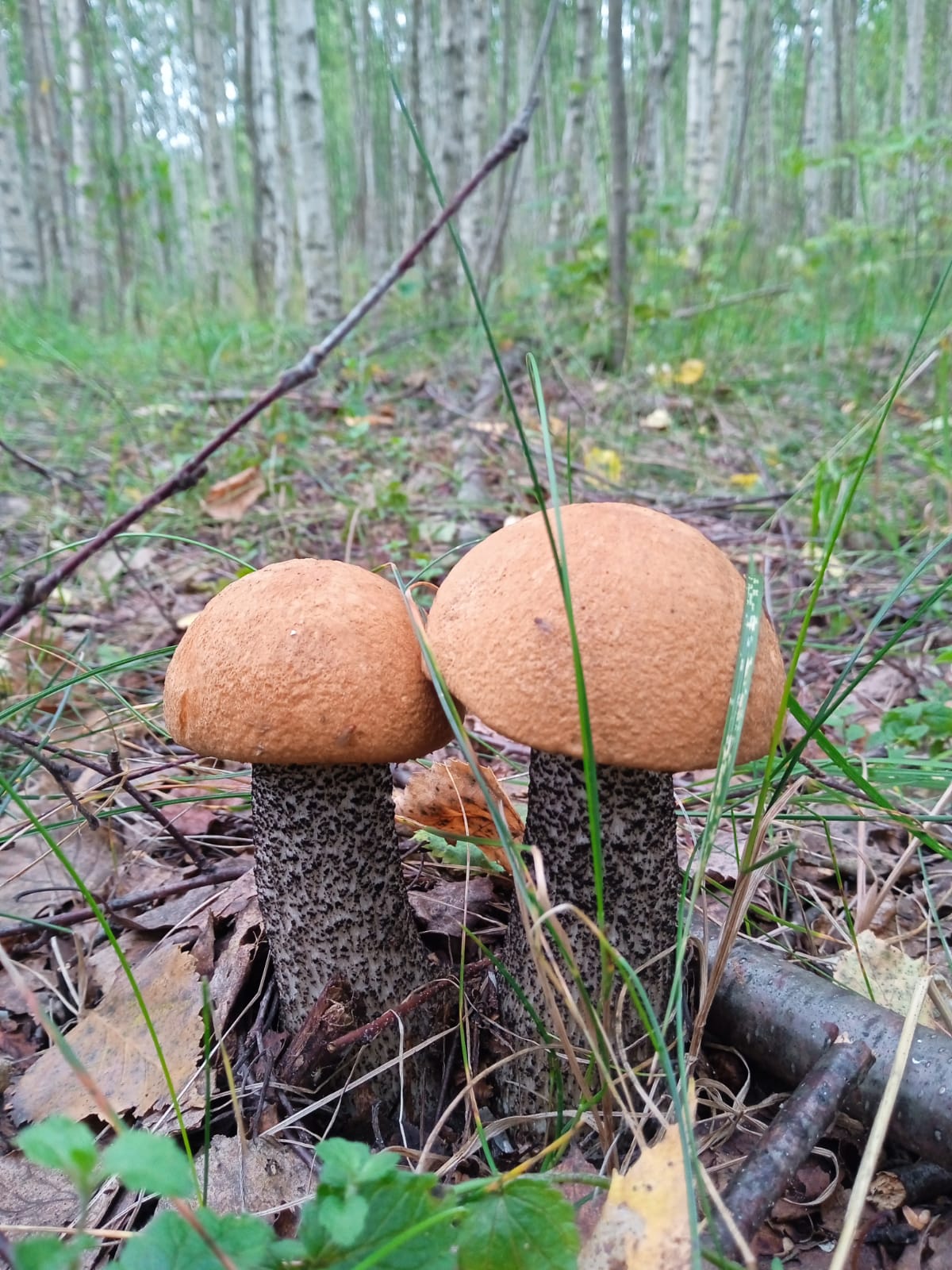 Фото Заповедный край