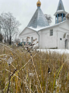 Marii Magdaliny v Ulitkino Church (derevnya Ulitkino, Tsentralnaya ulitsa, 24А), orthodox church