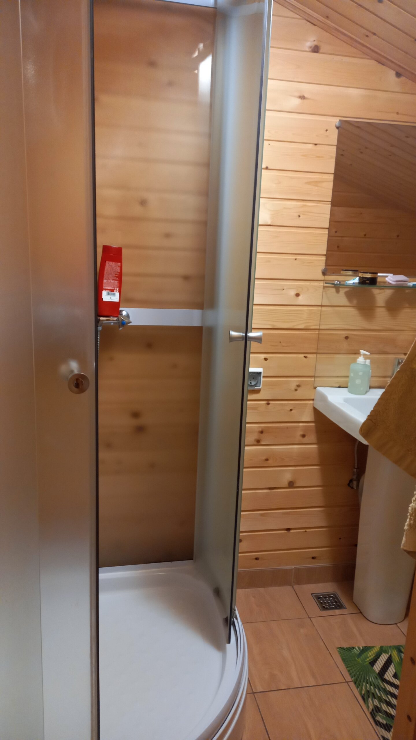 Фото Хвойный