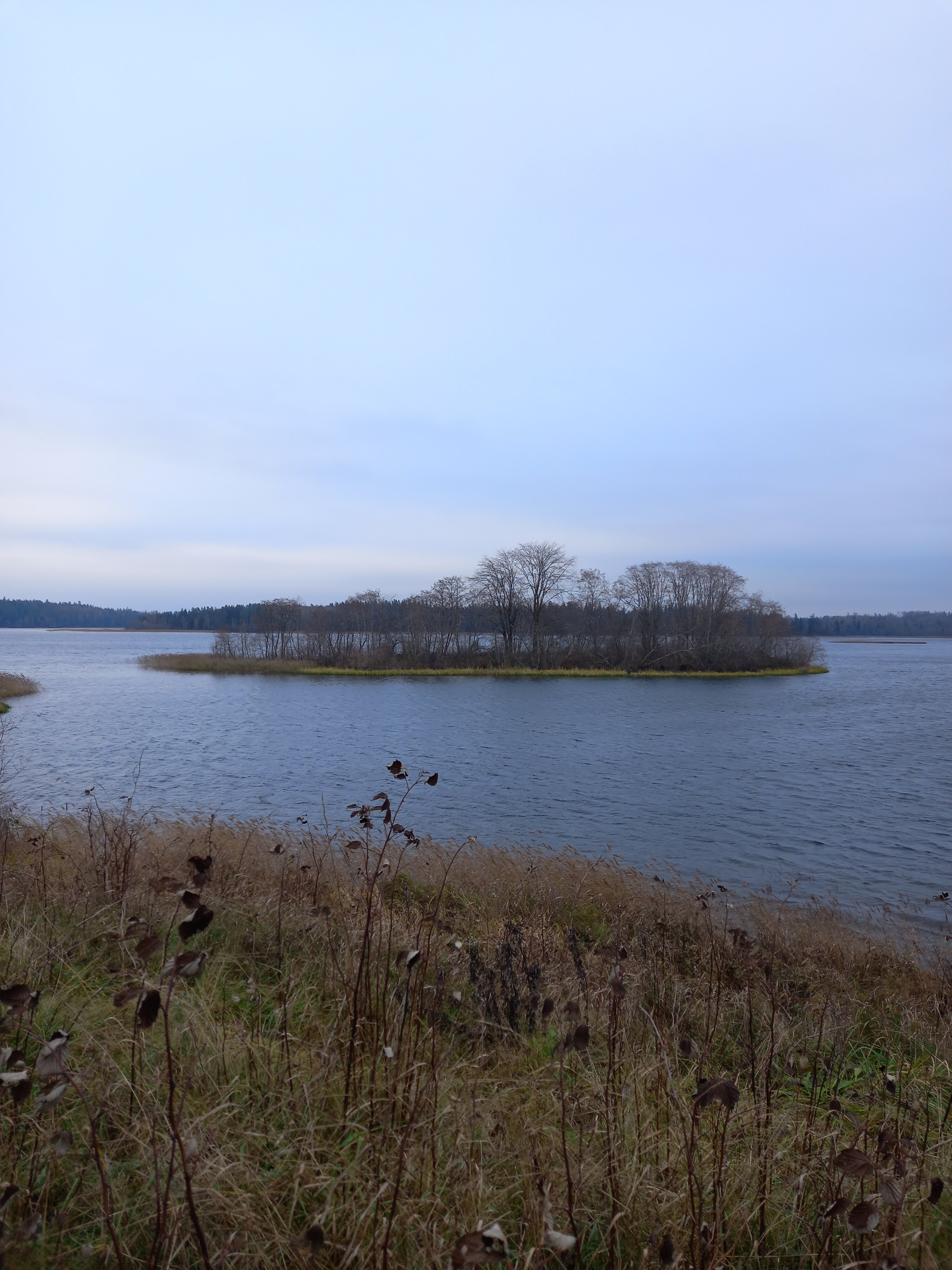 Фото Дом у родника