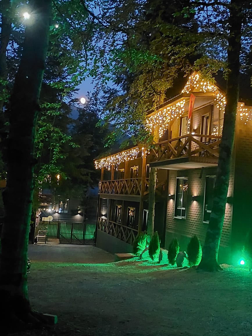 Фото Дубрава