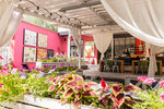 Chashka coffee (Morskoy Avenue, 54), cafetería
