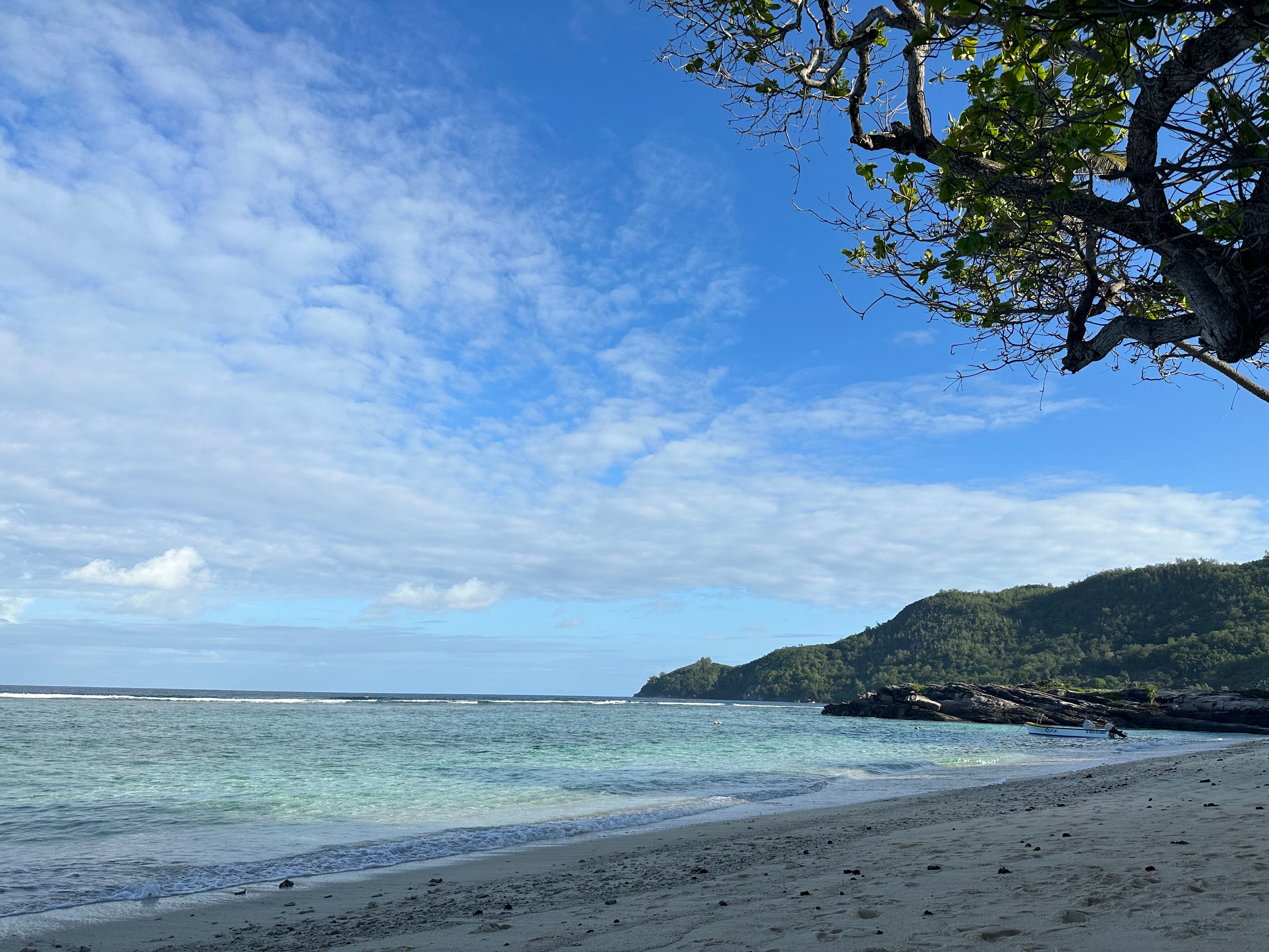 Фото DoubleTree by Hilton Seychelles - Allamanda Resort and SPA