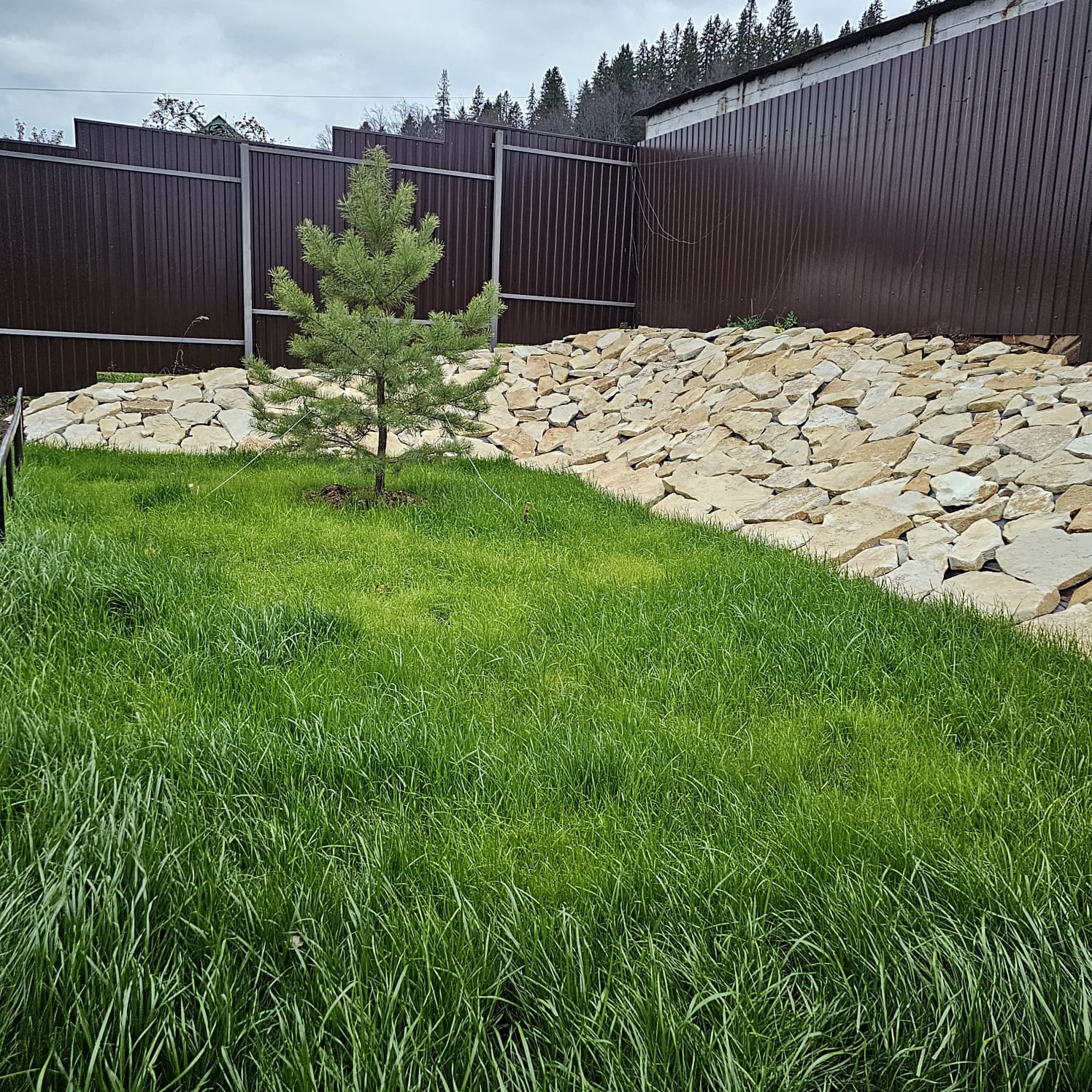 Фото A-Frame Синильга