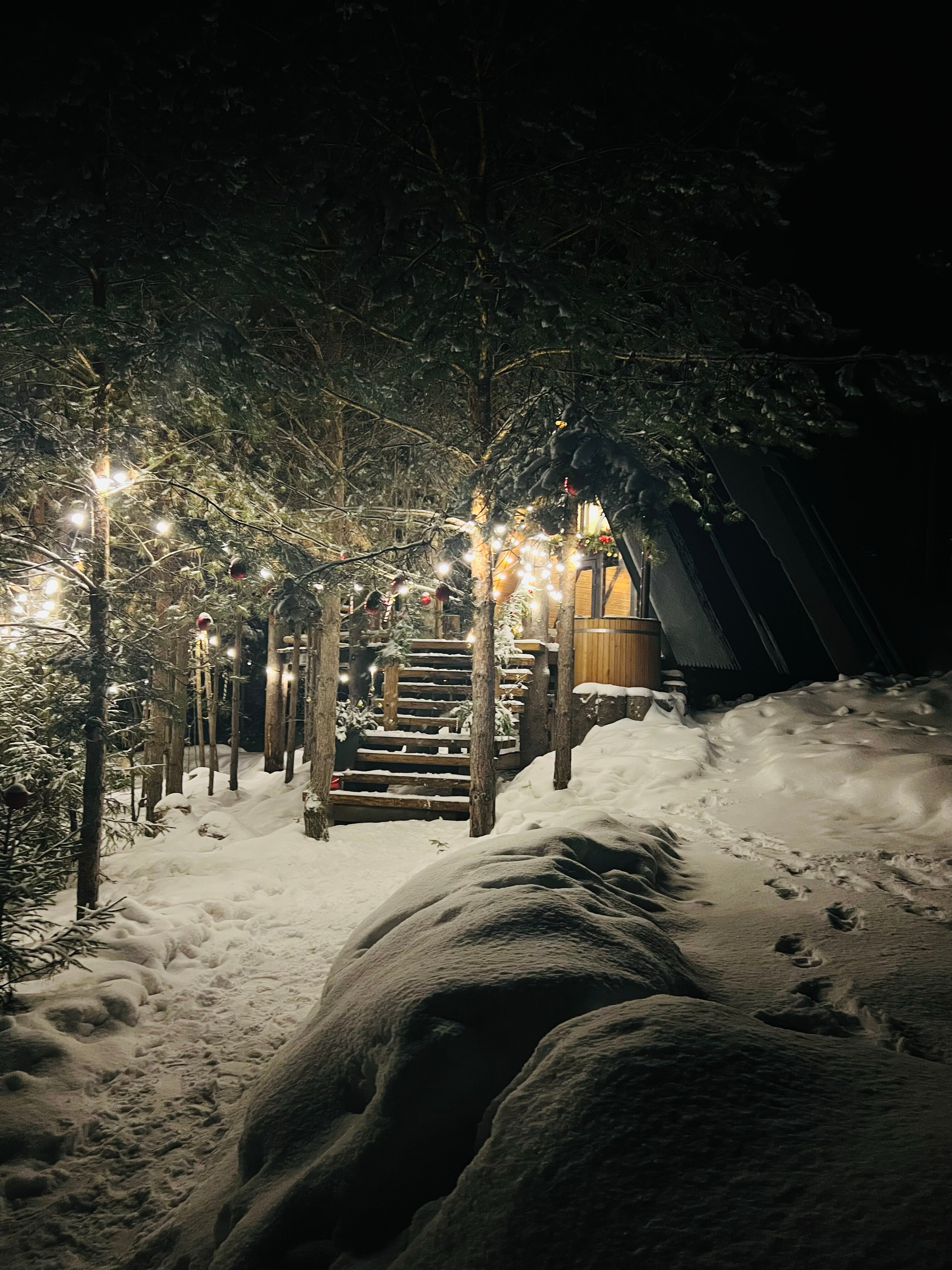 Фото Хвойная Хижина