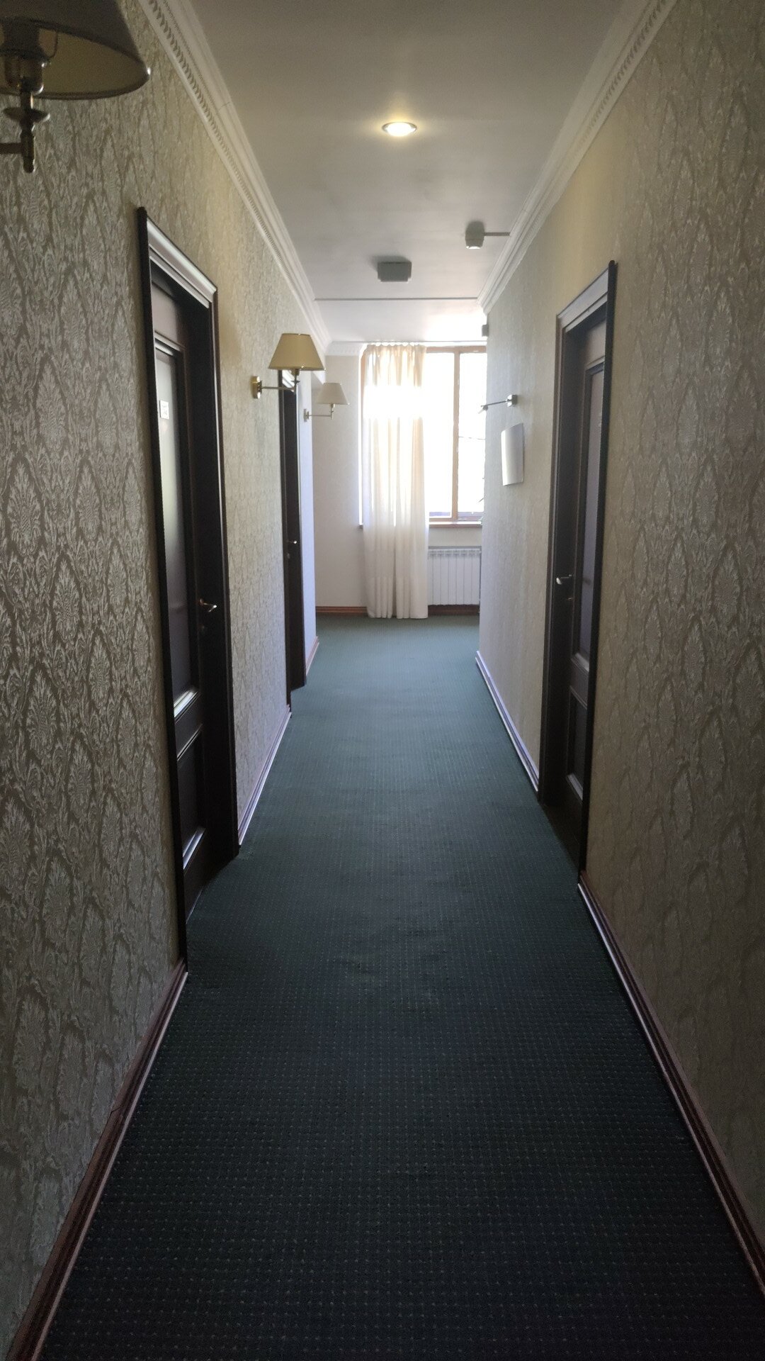 Фото Березки