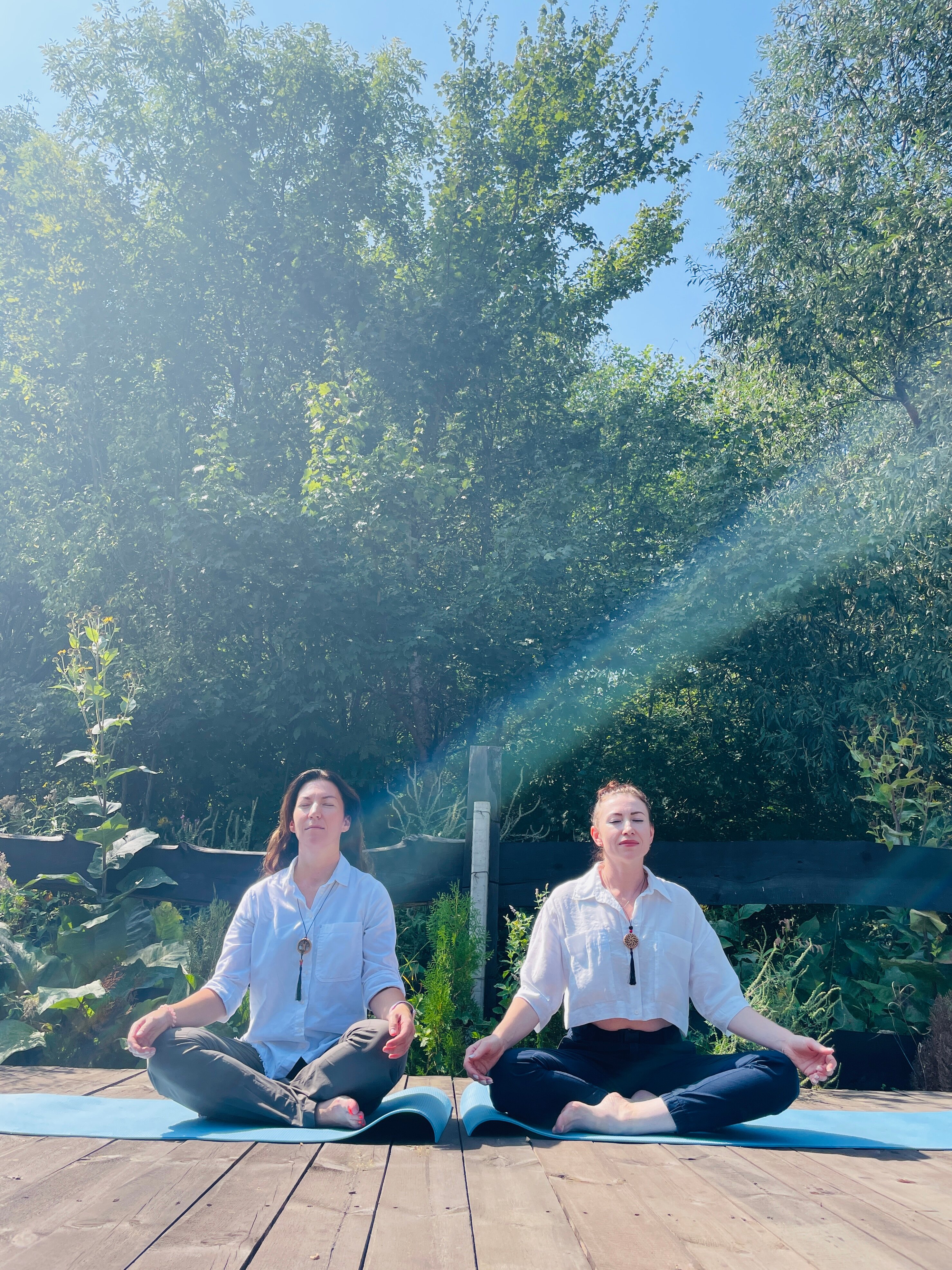 Фото Магия природы