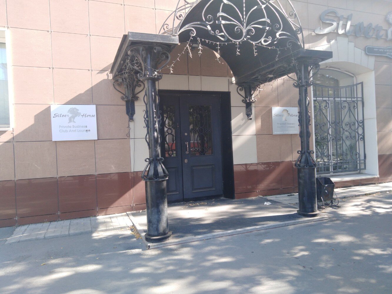 Фото Серебряная лошадь