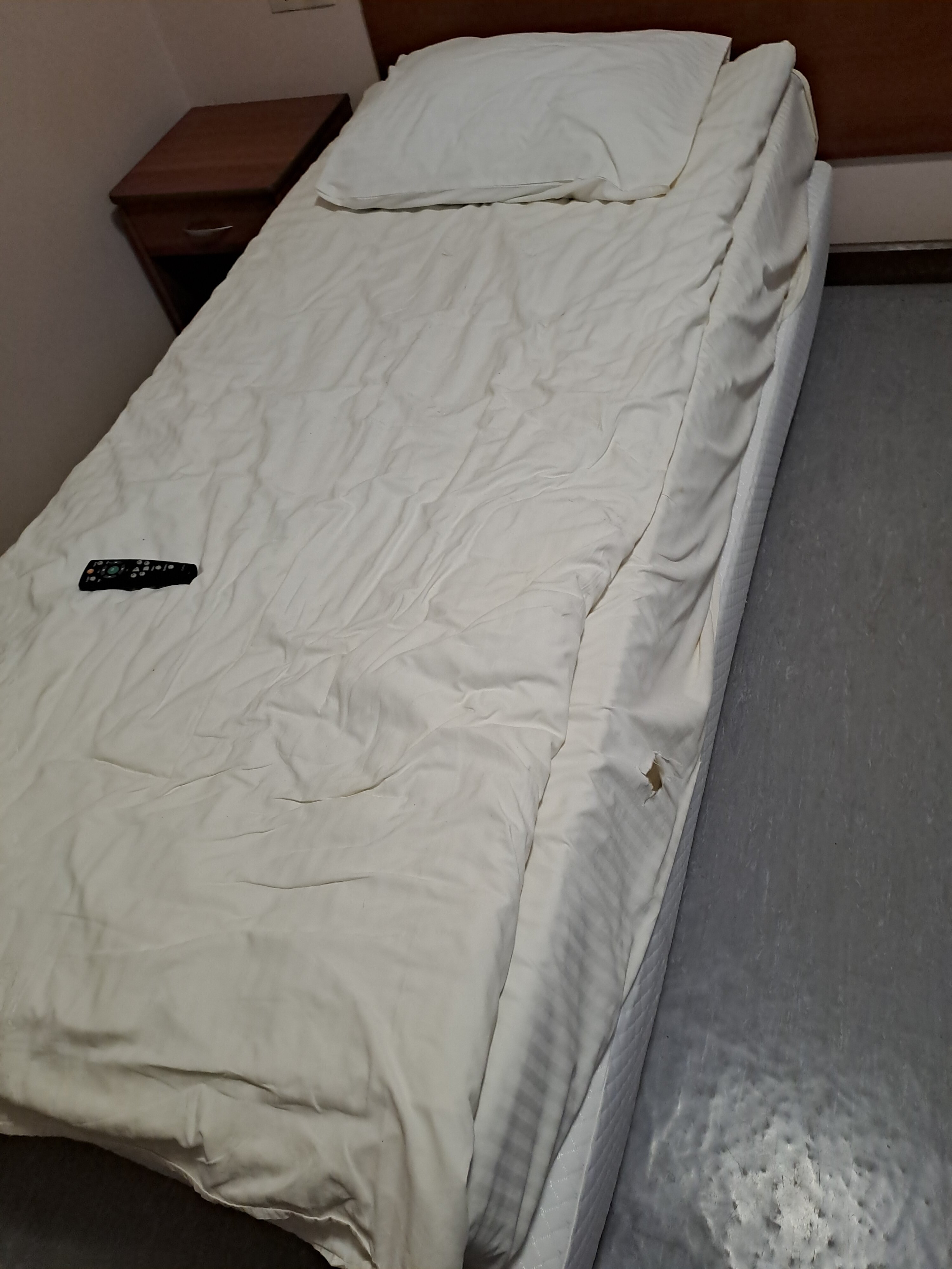 Фото Берёзка