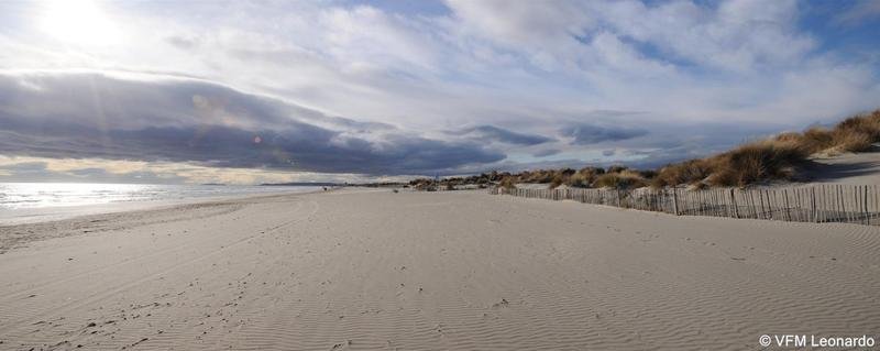 Фото Holiday Inn Express Montpellier - Odysseum