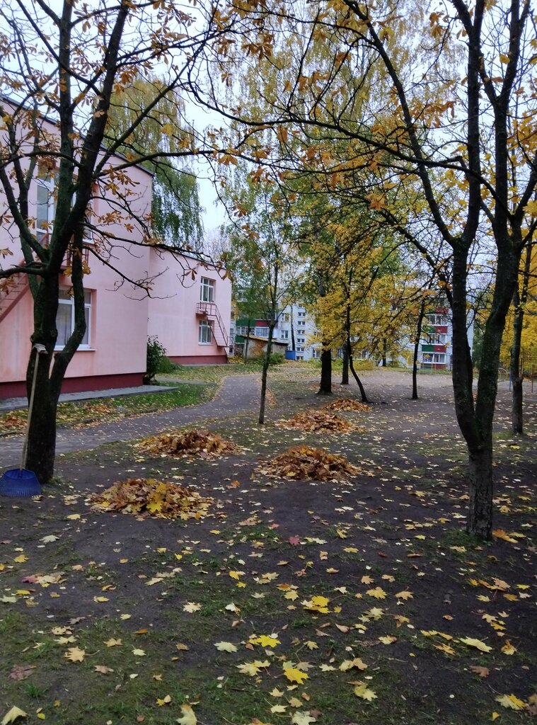 Начальная школа Гимназия № 32, начальная школа, Минск, фото