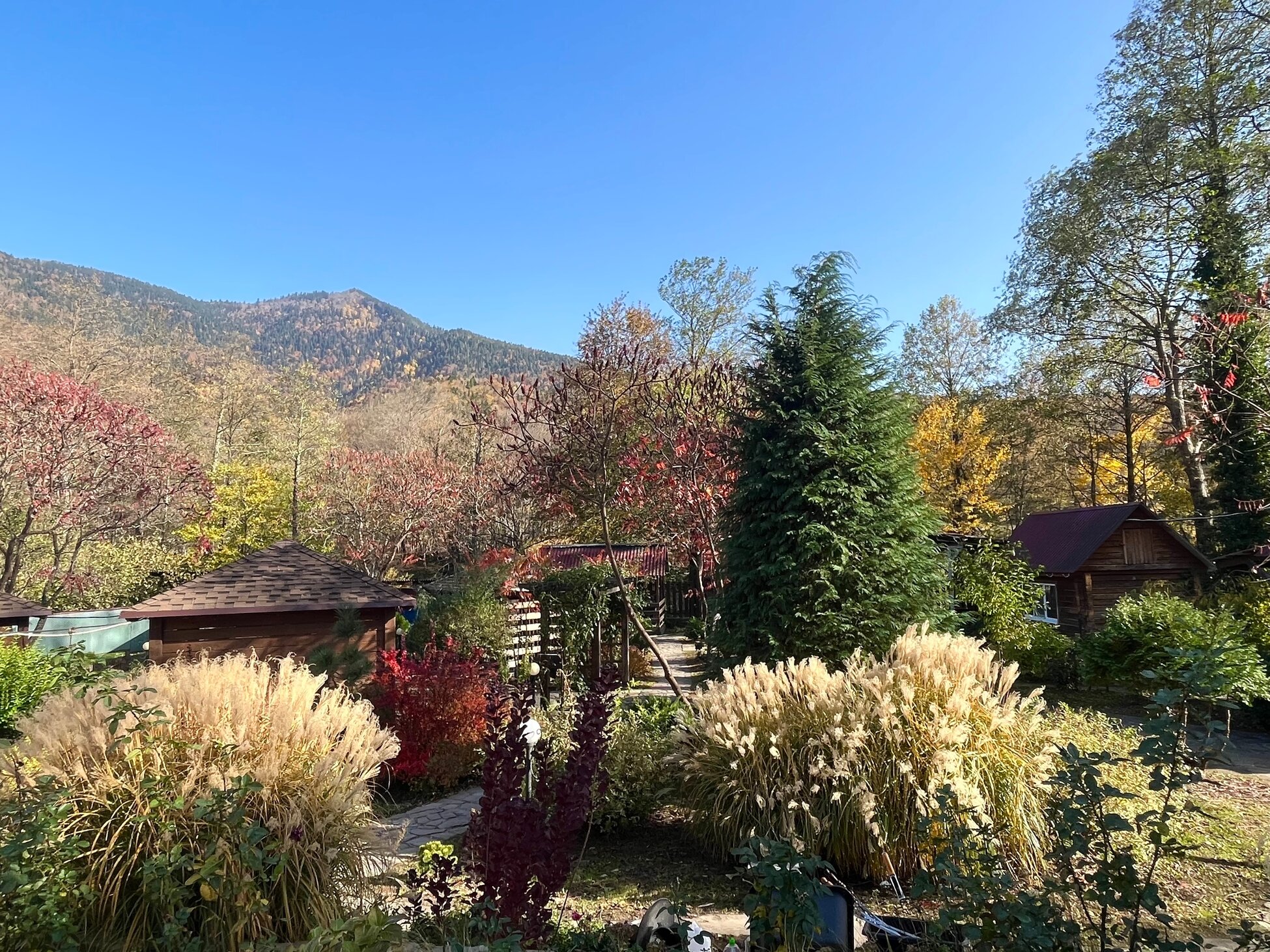 Фото Volkov Family