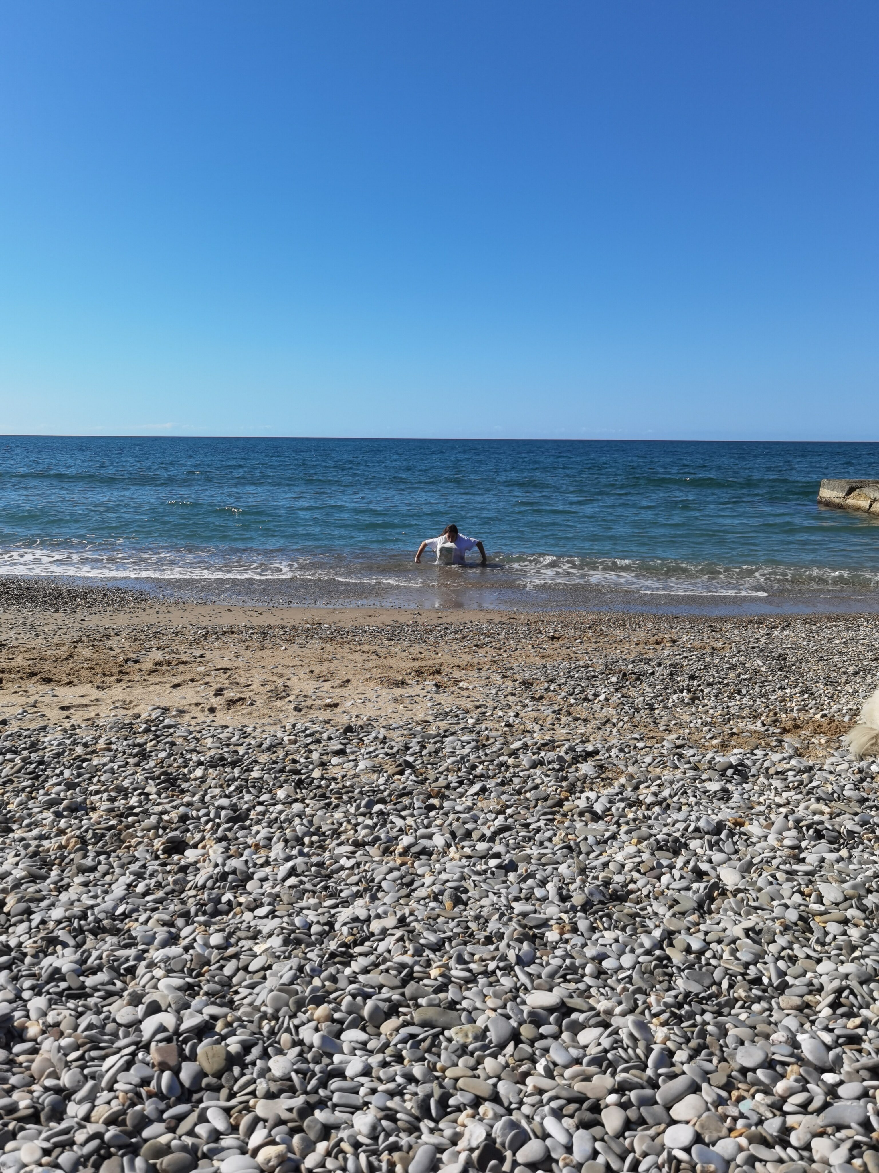 Фото Солнышко