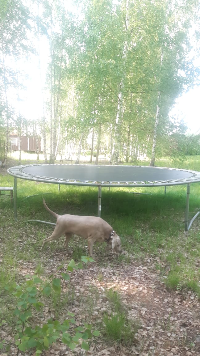 Фото Чудохутор