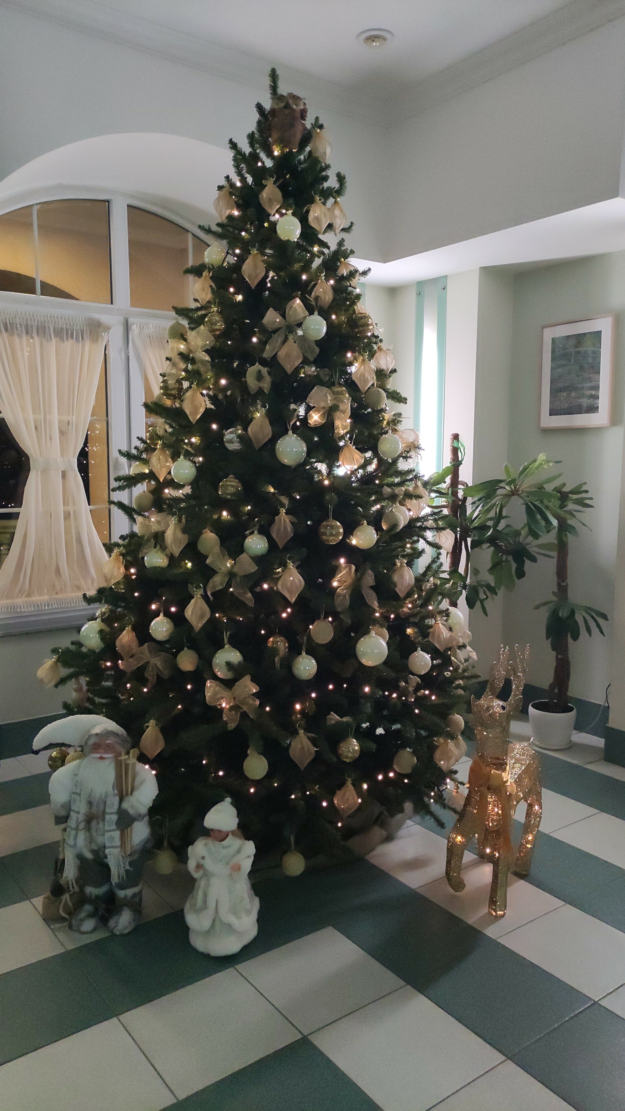 Фото Обертайх Люкс