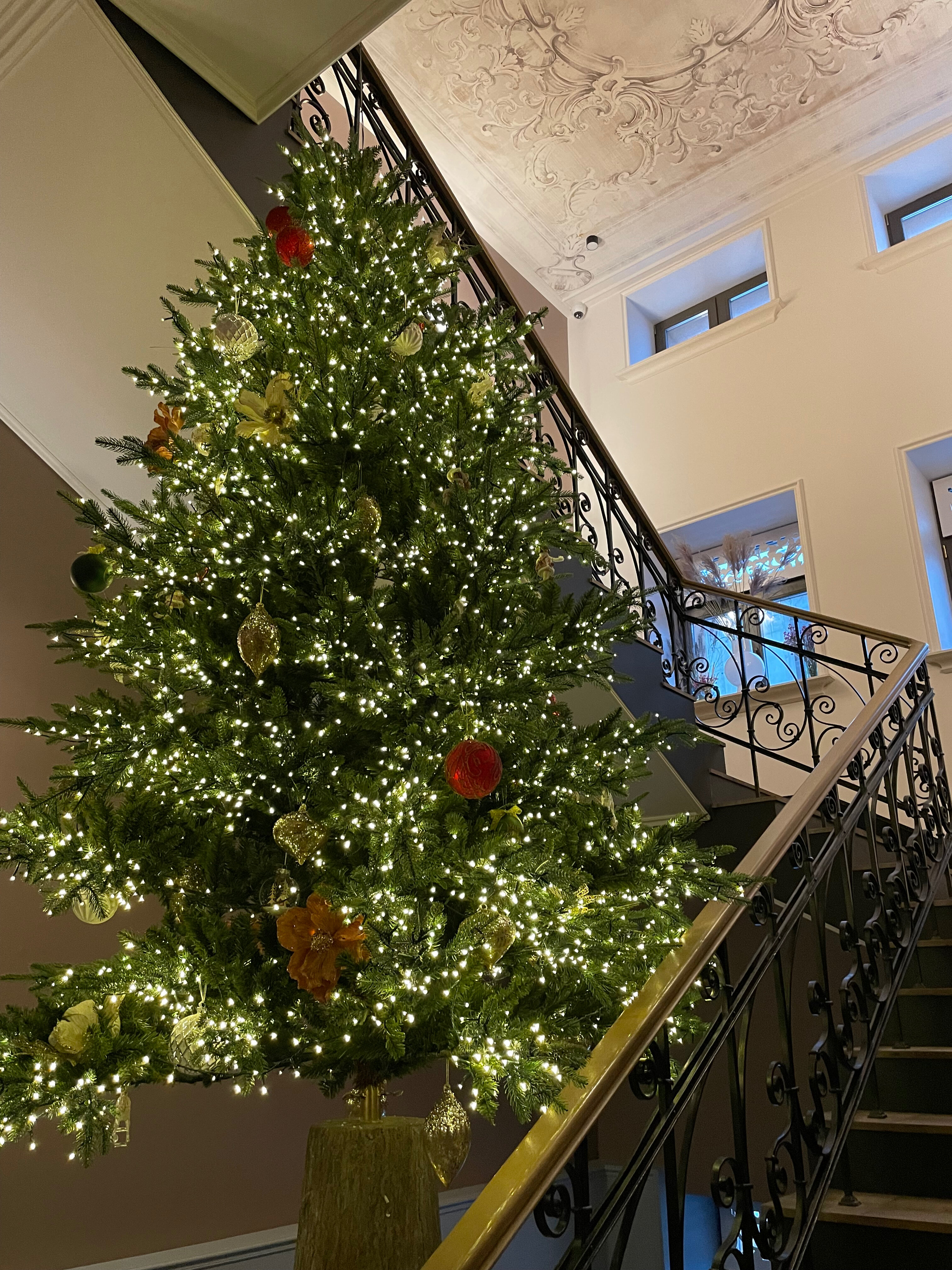 Фото Zalkind Hotel