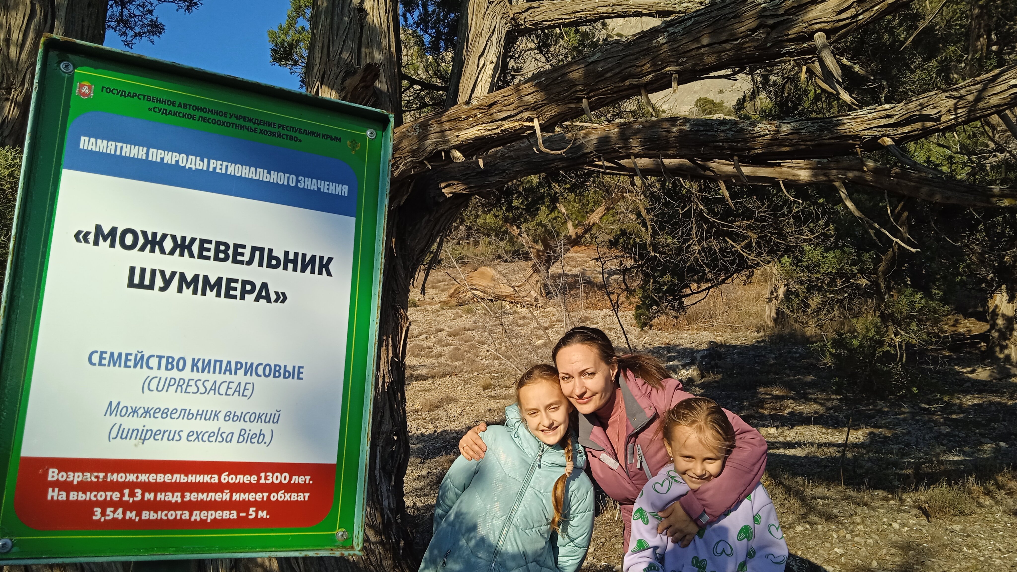 Фото Гостевой дом Миндальный 39