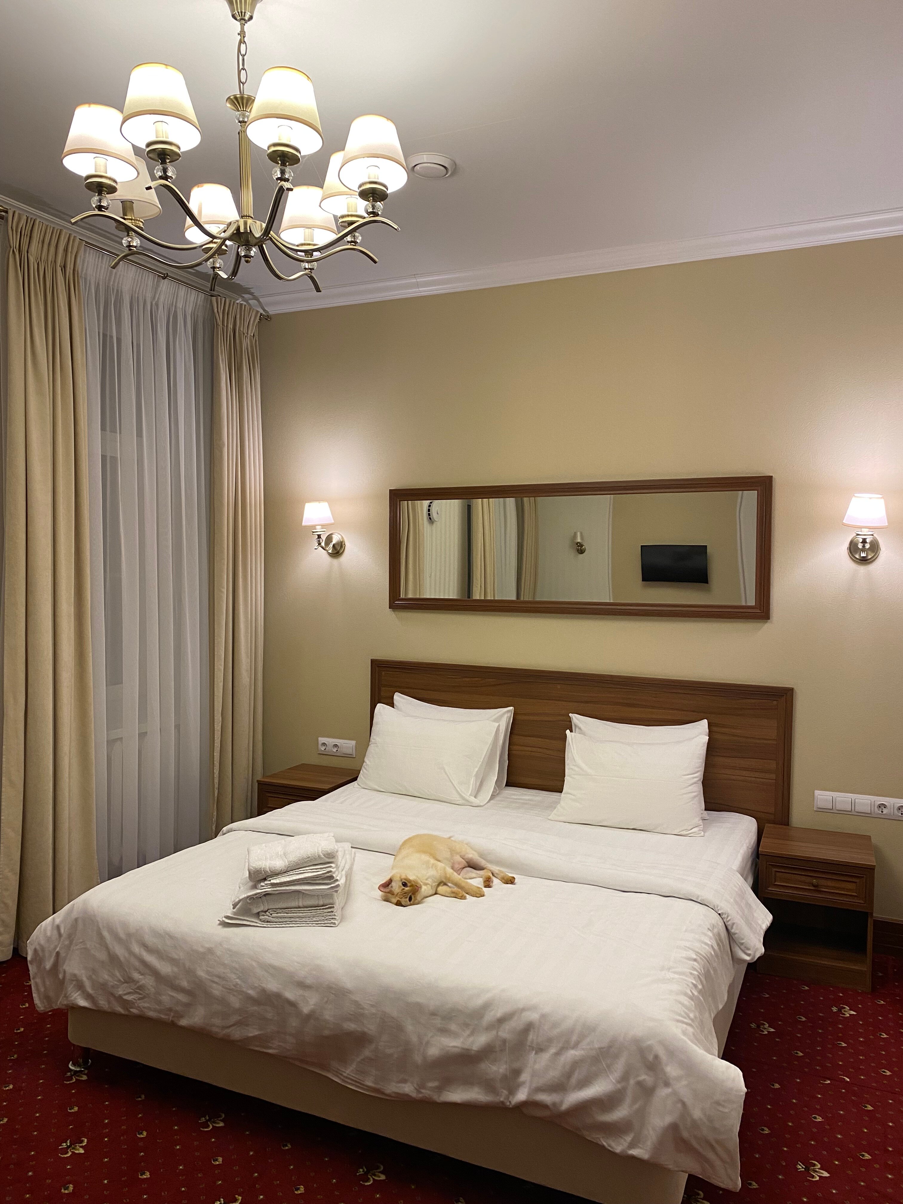 Фото МашБах