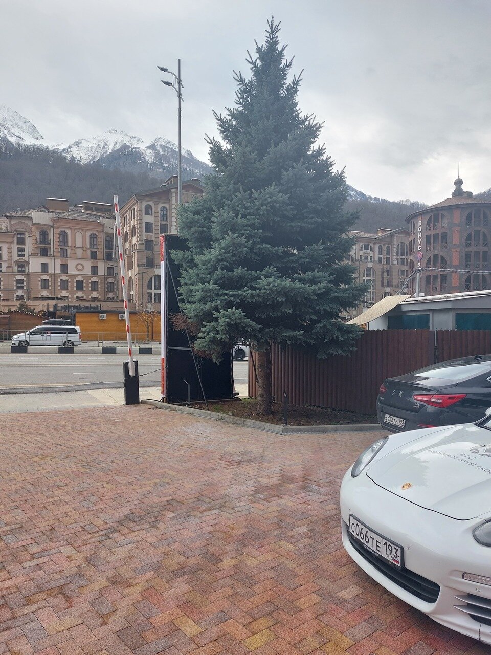 Фото Апартаменты