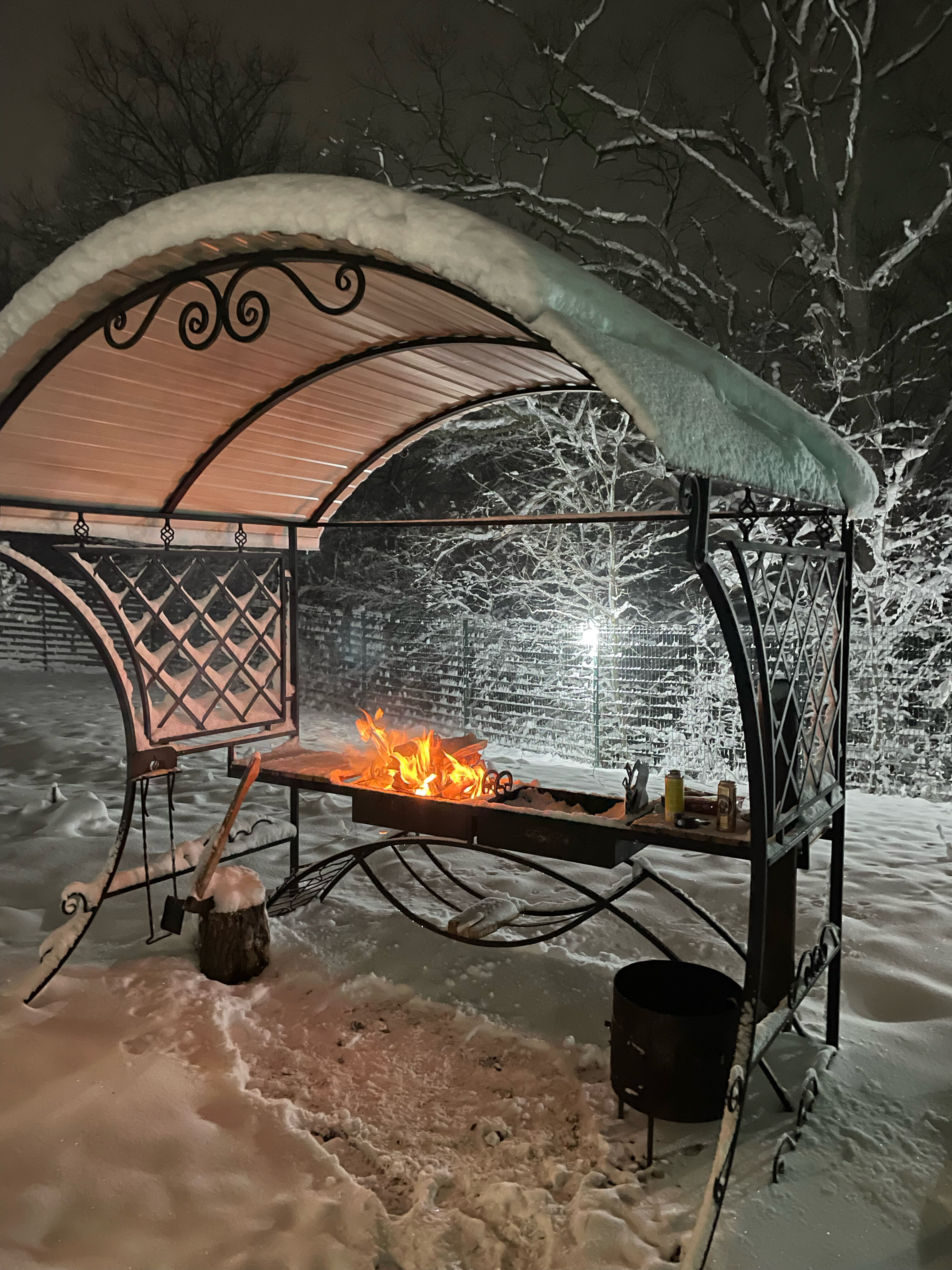 Фото Стрижи