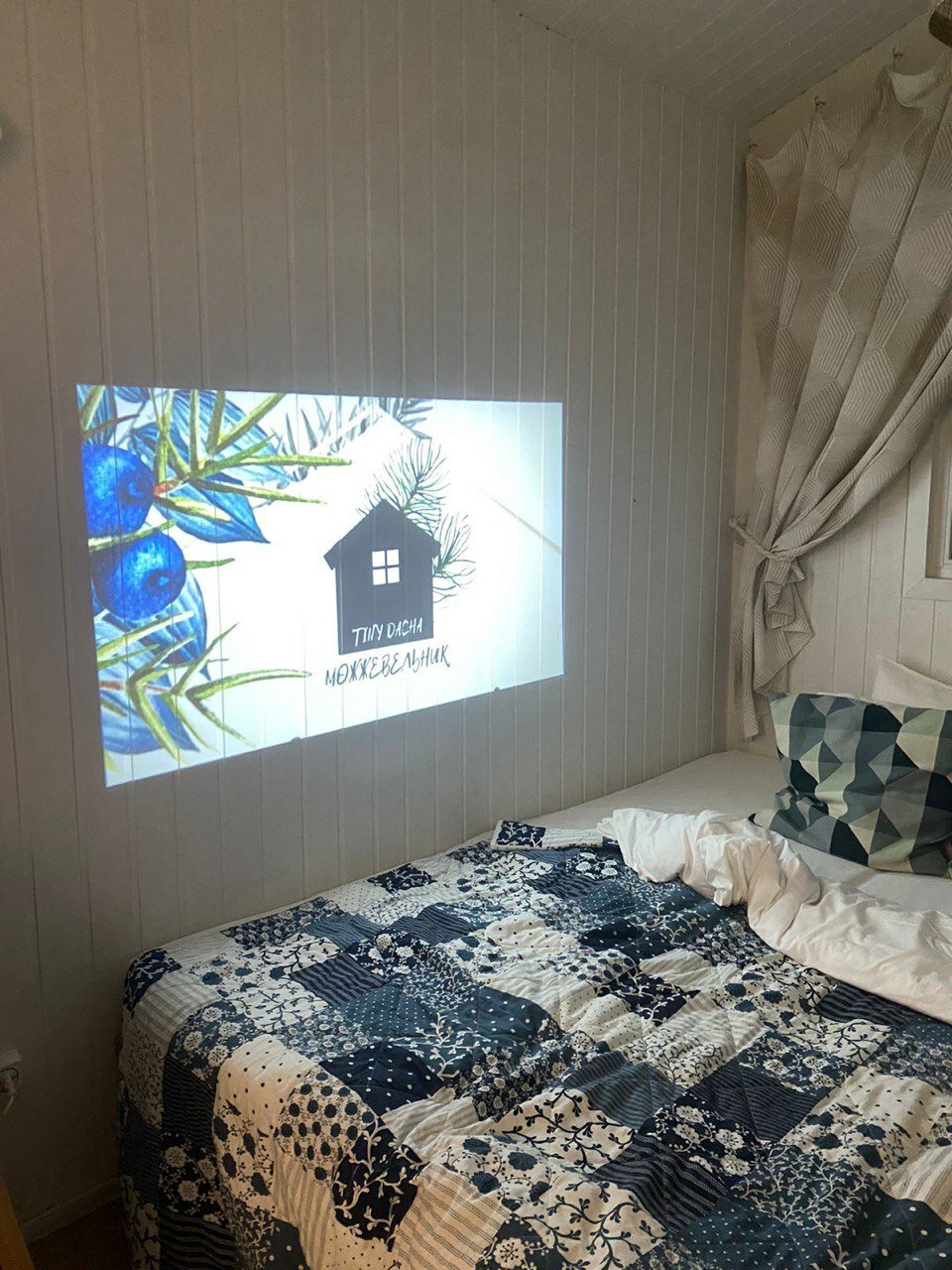 Фото TinyDacha можжевельник