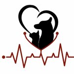 Can Yoldas Veterenary Clinic (провинция Анкара, район Алтындаг, улица Джеляль Эсат Арсевен, 295), ветеринарная клиника в Анкаре
