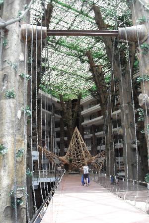 Фото Holiday World Polynesia Hotel