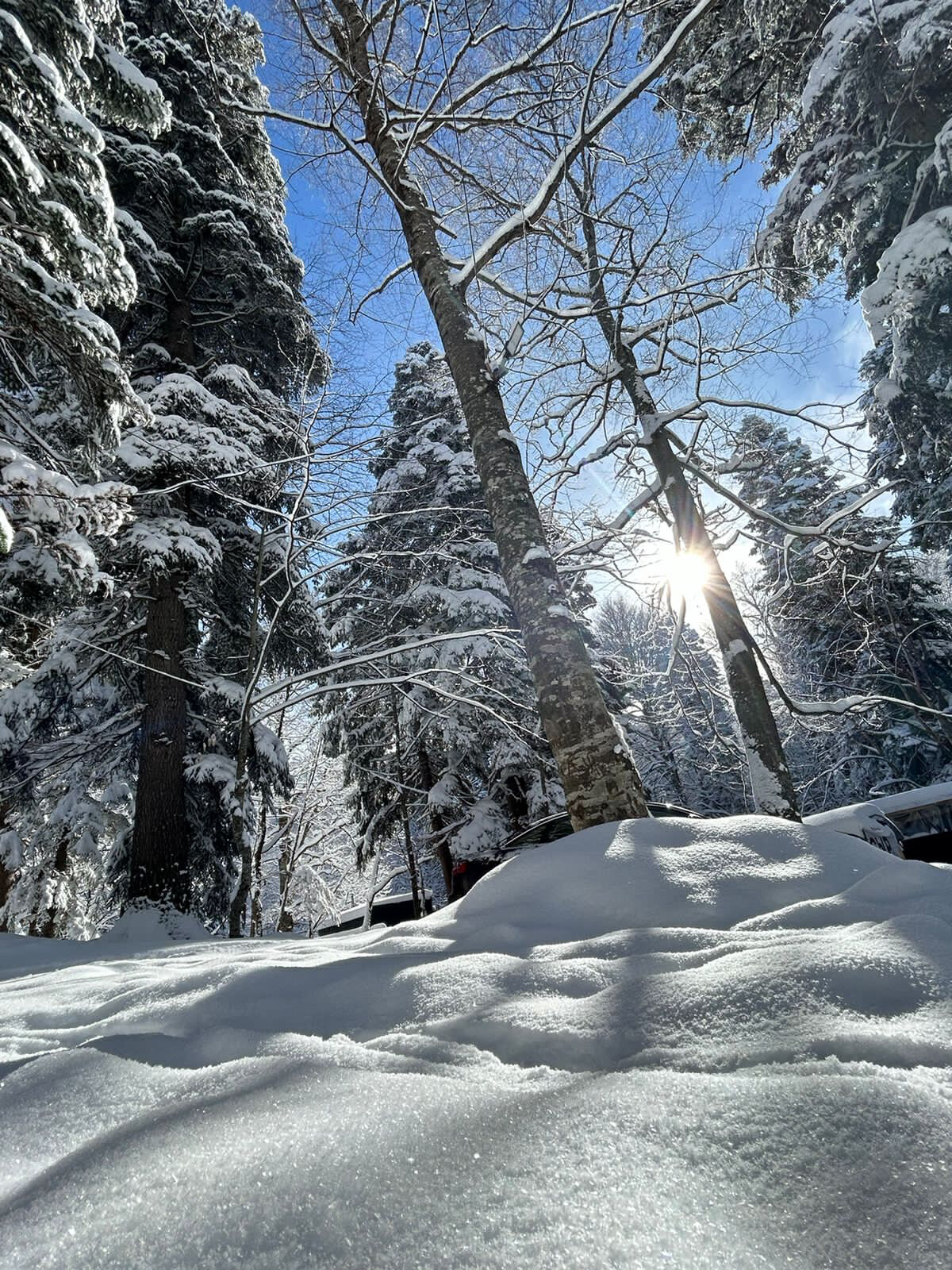 Фото Дом у реки