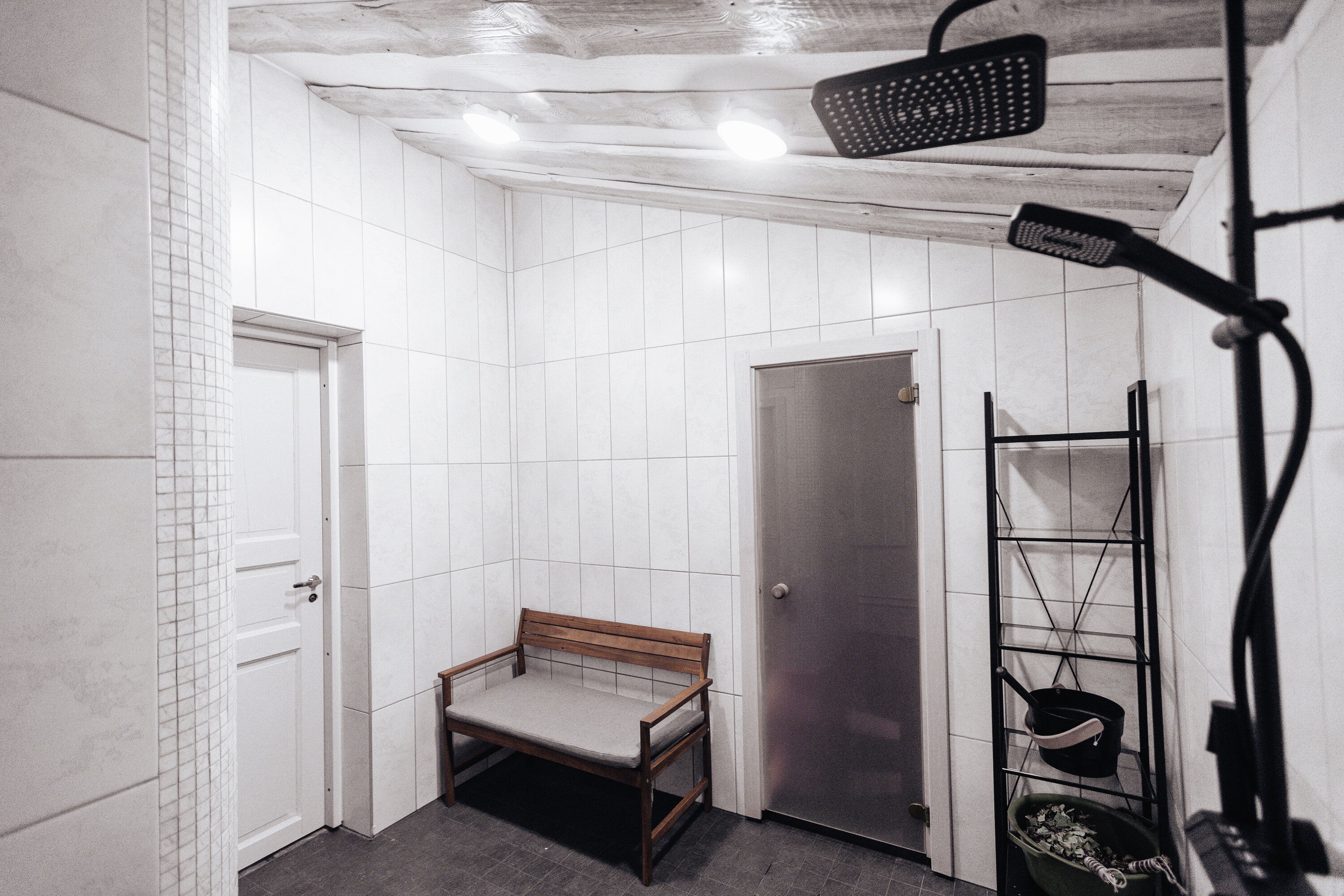 Фото Волшебный лес