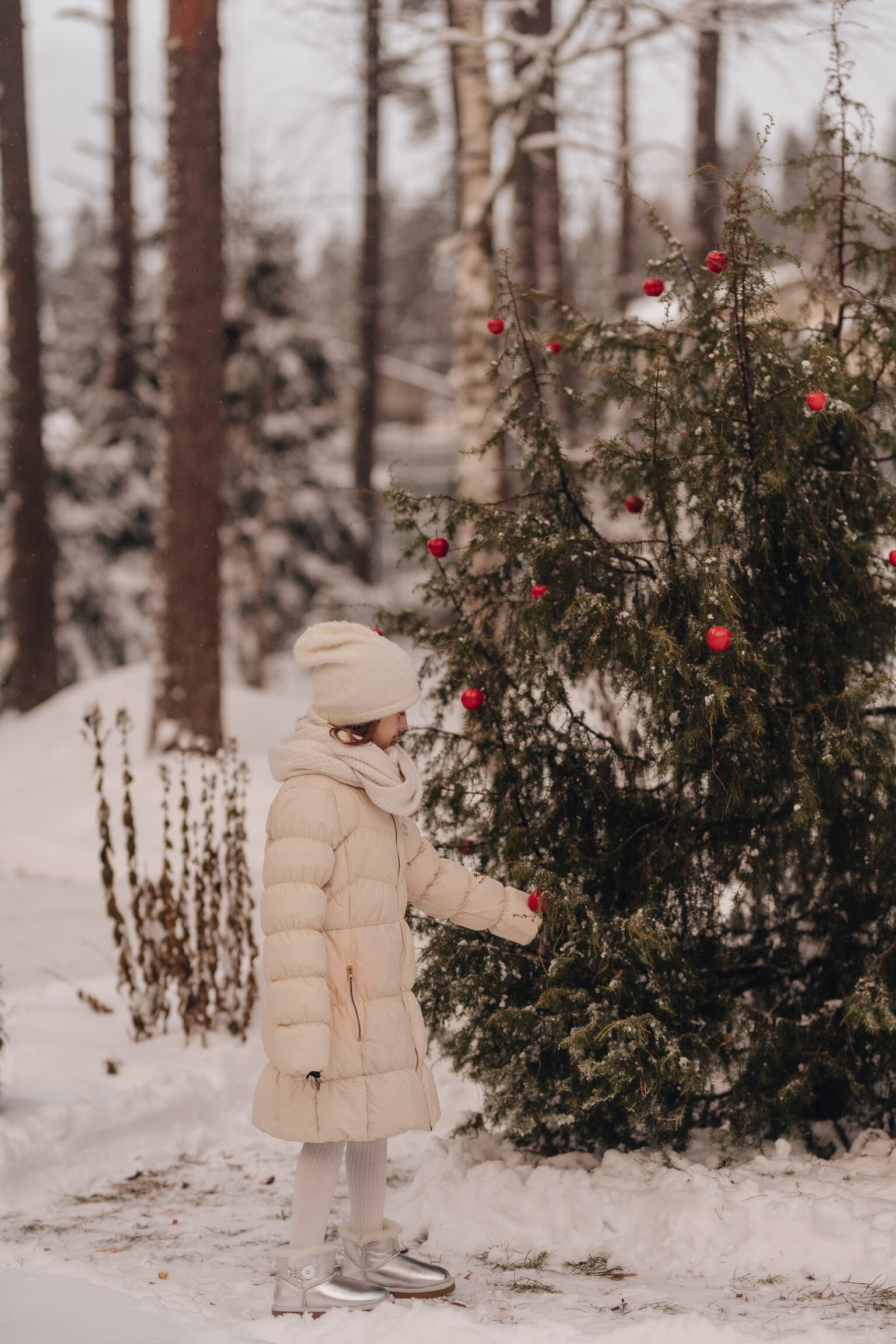 Фото Волшебный лес