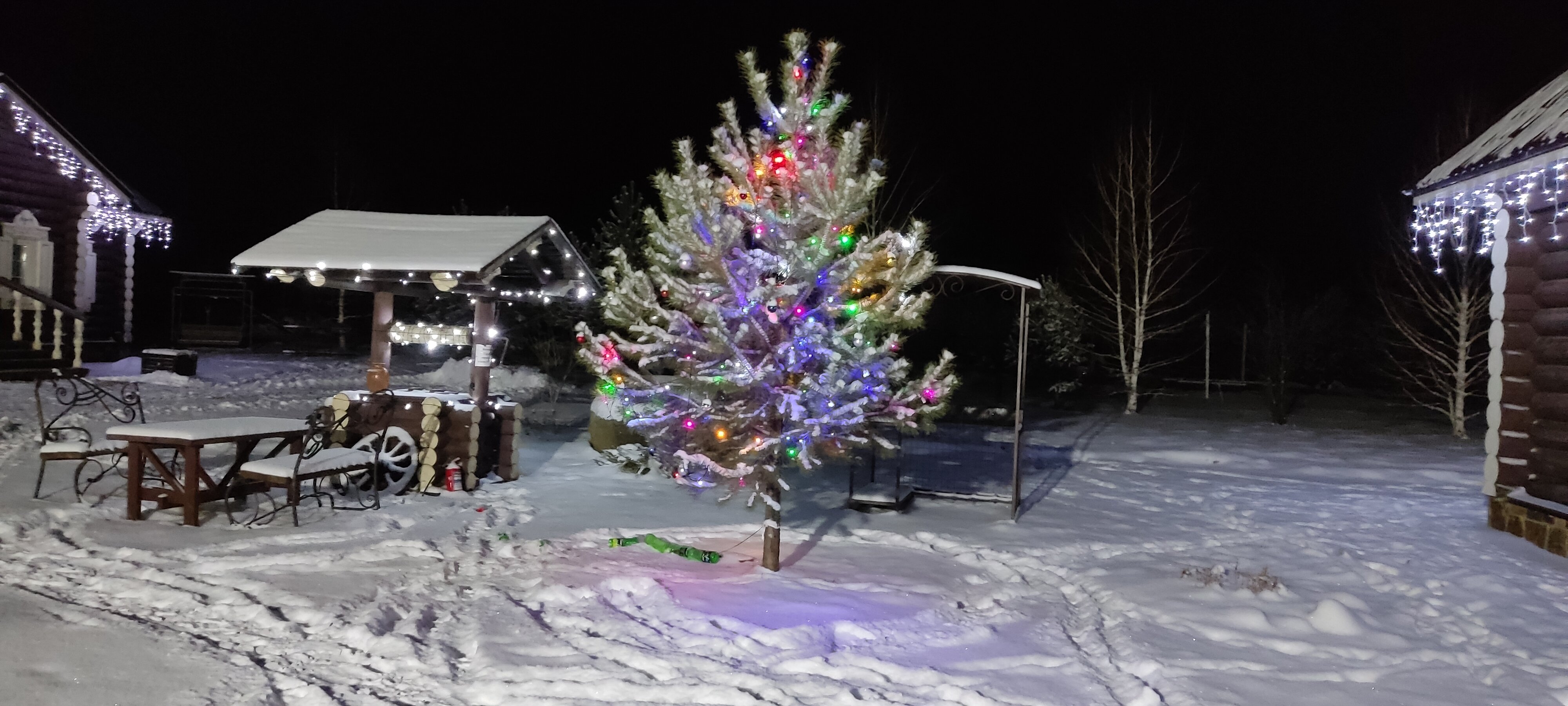 Фото Калина красная