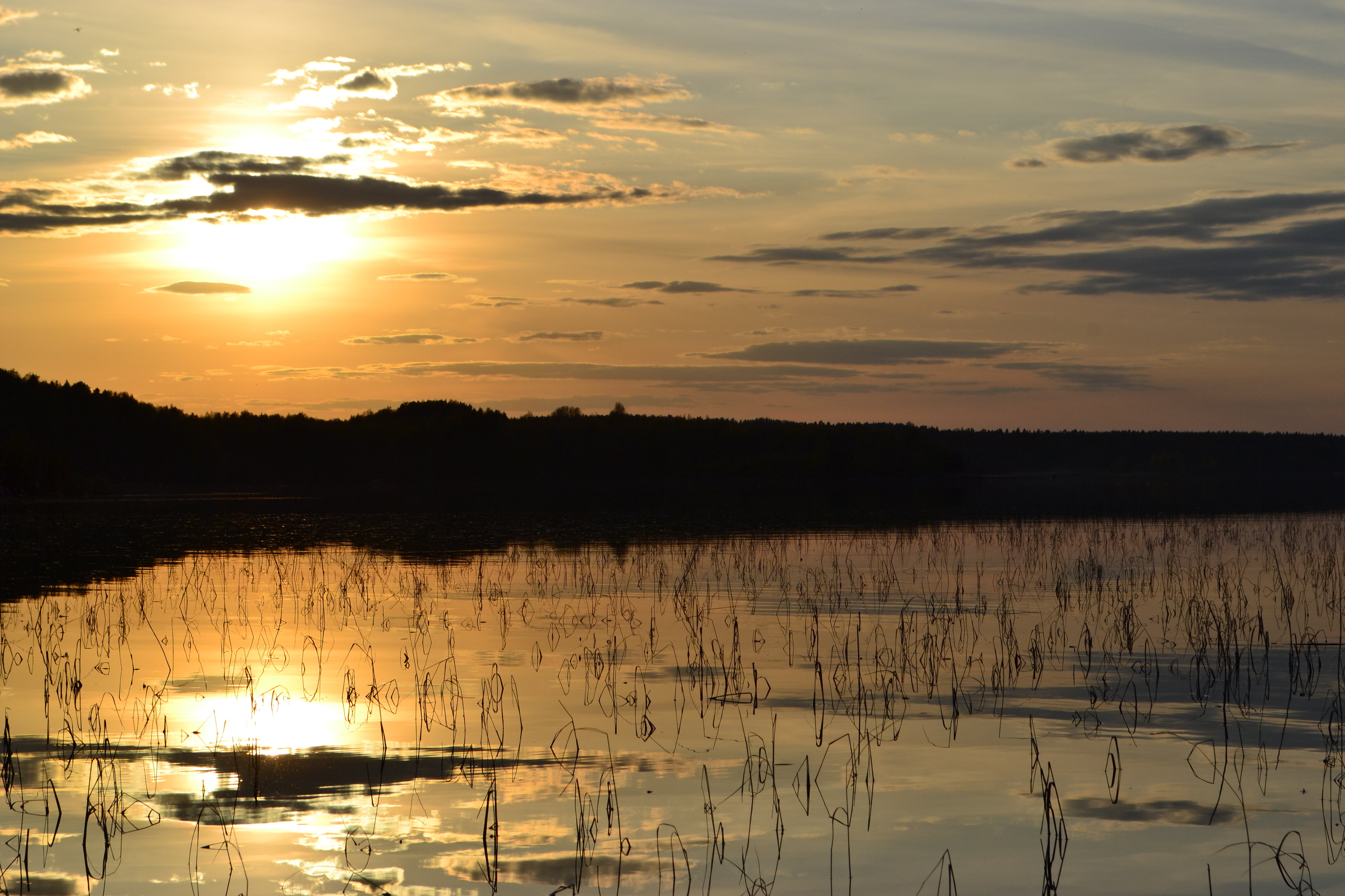 Фото Новый ковчег