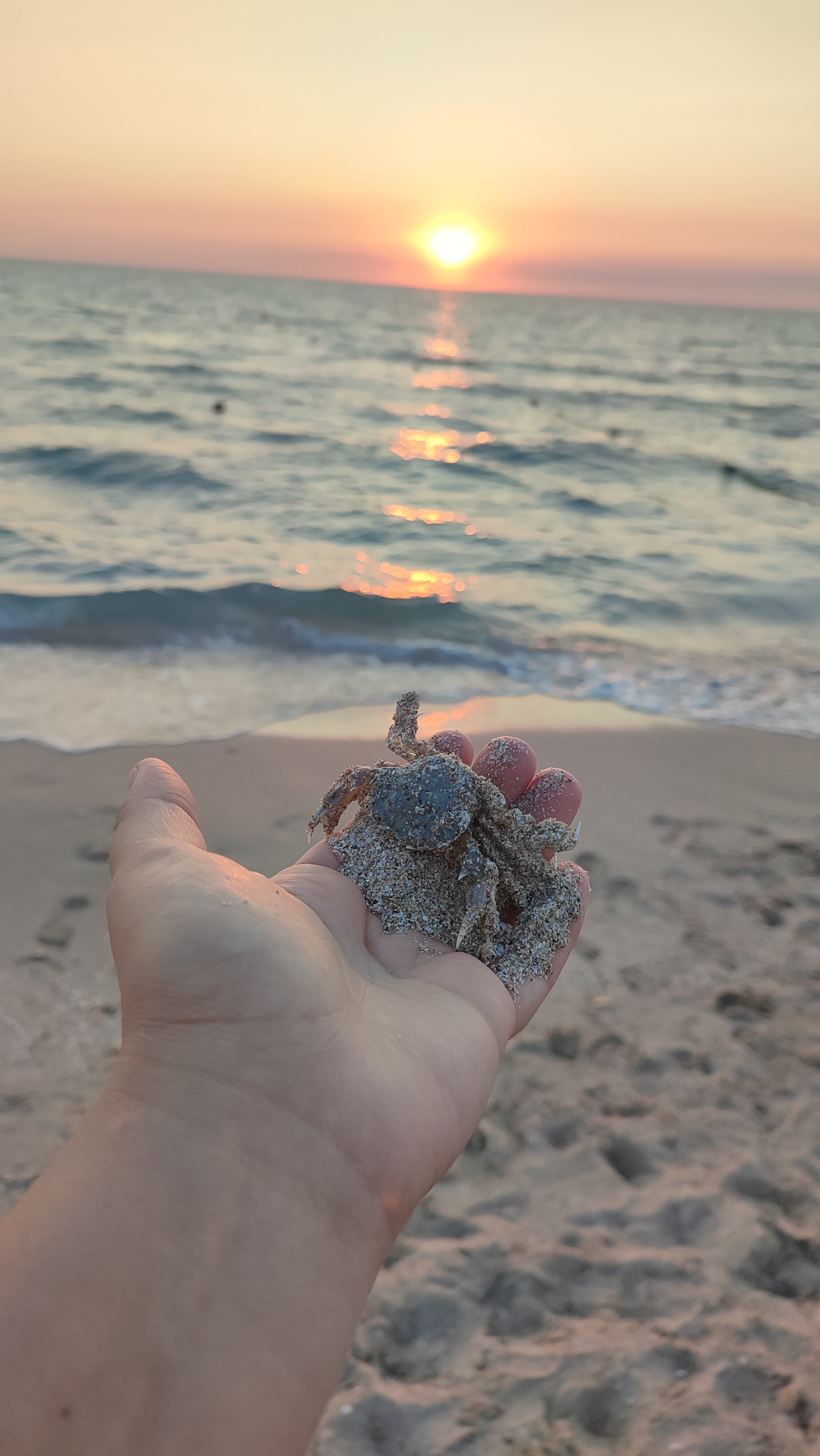 Фото Хатабич