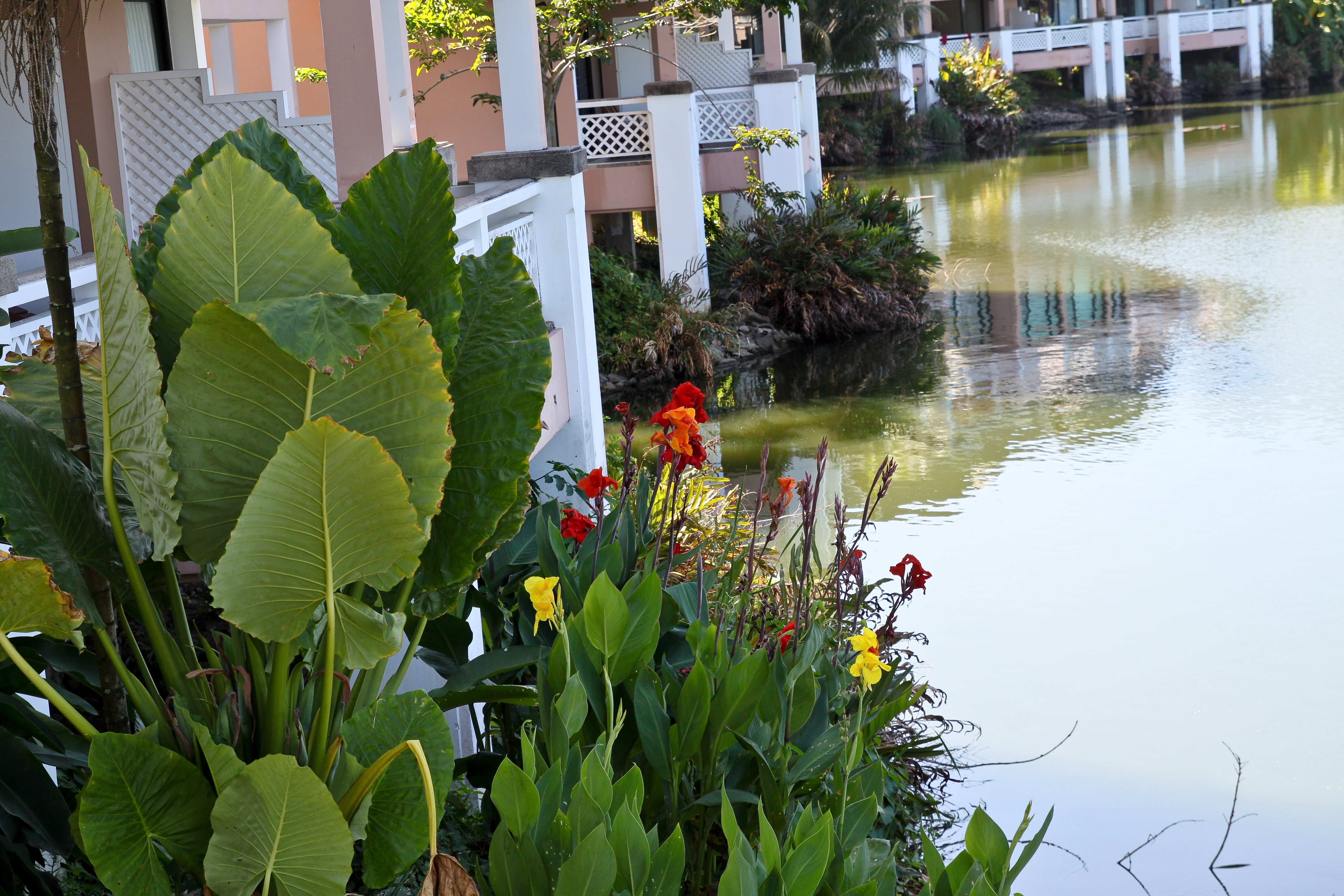 Фото Allamanda Laguna Phuket by Resava