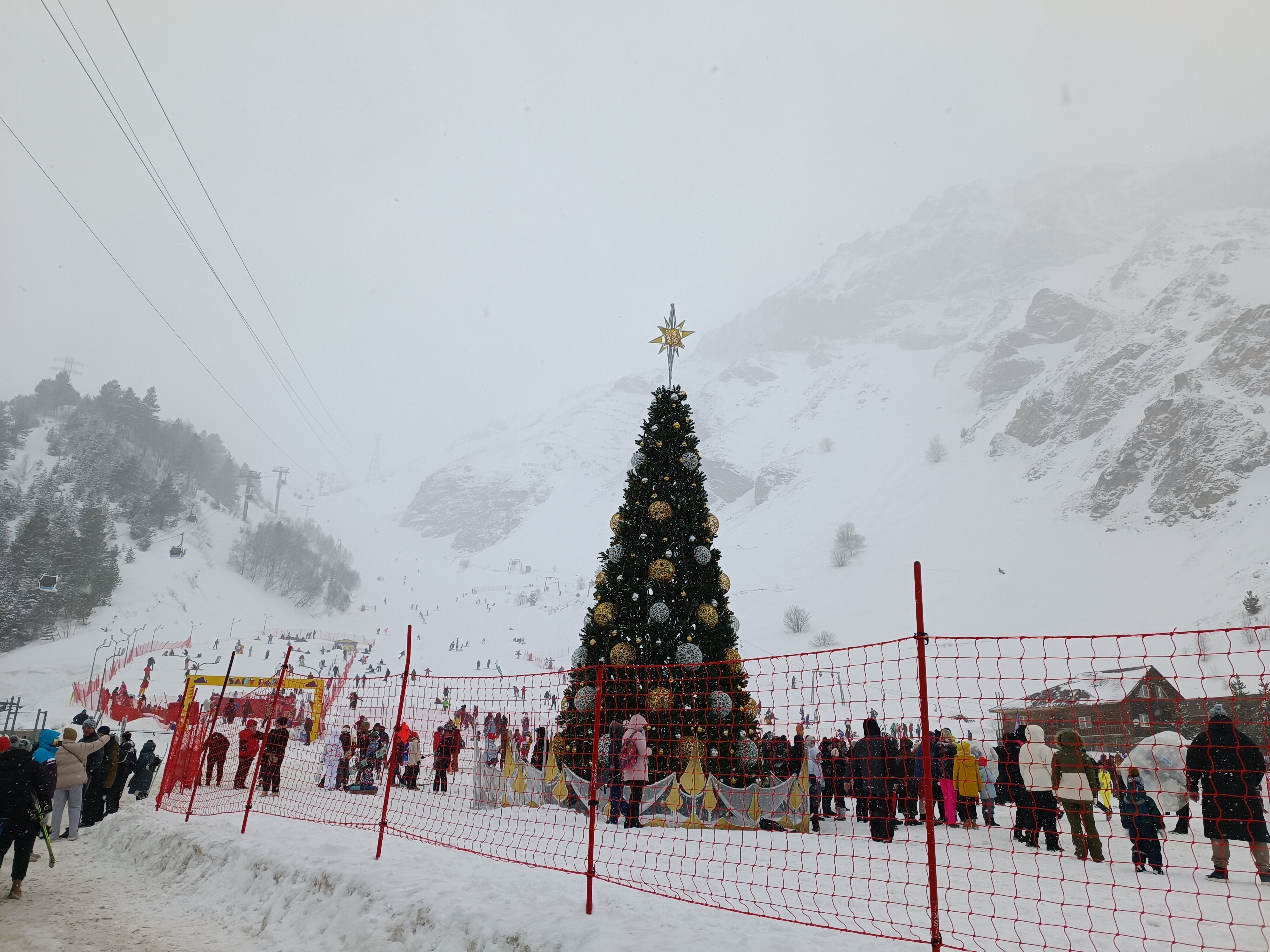 Фото Альпина