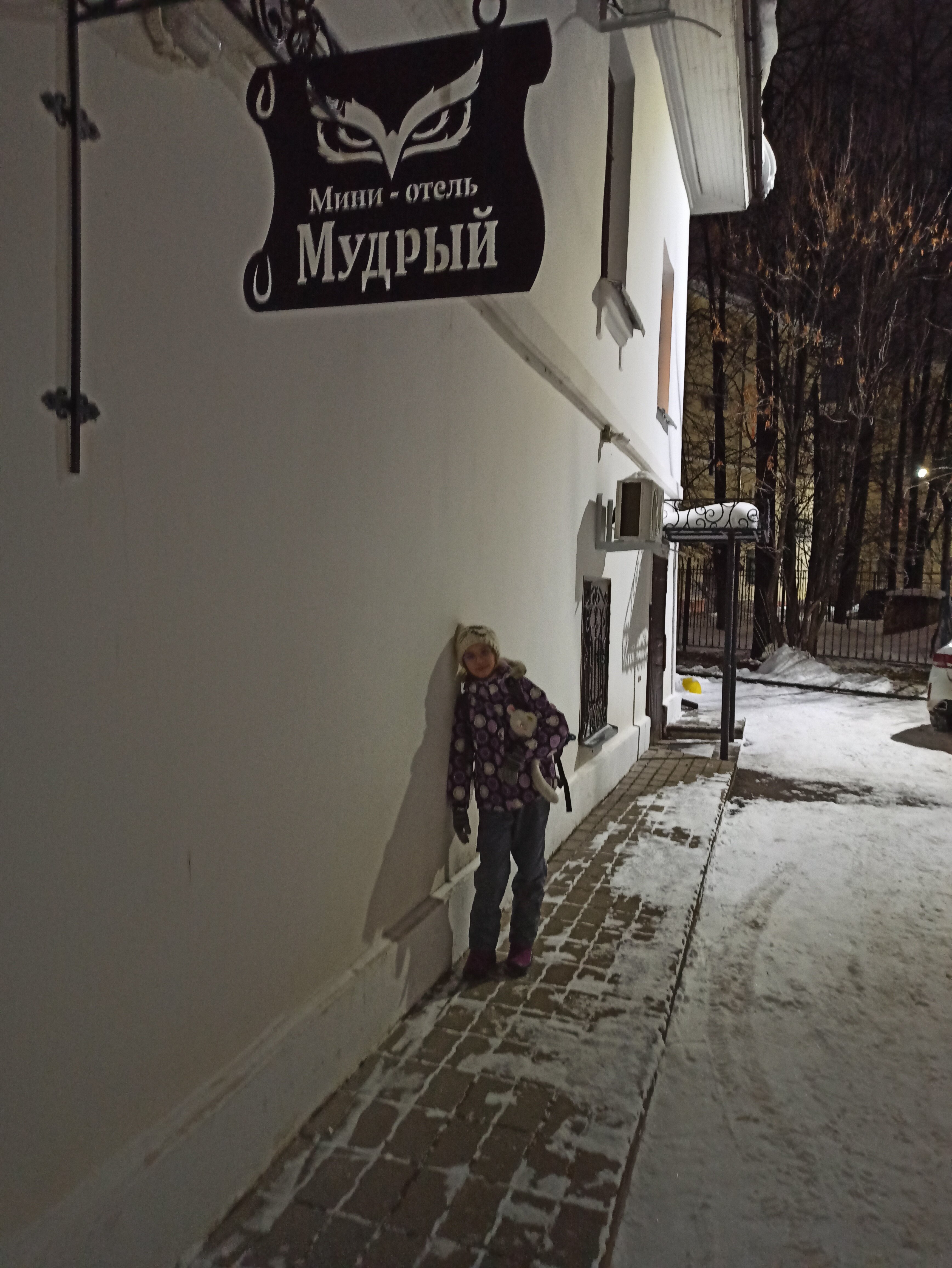 Фото Мудрый Филин