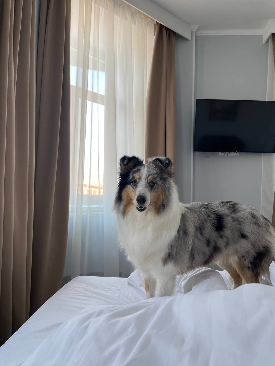 Фото Solo центр