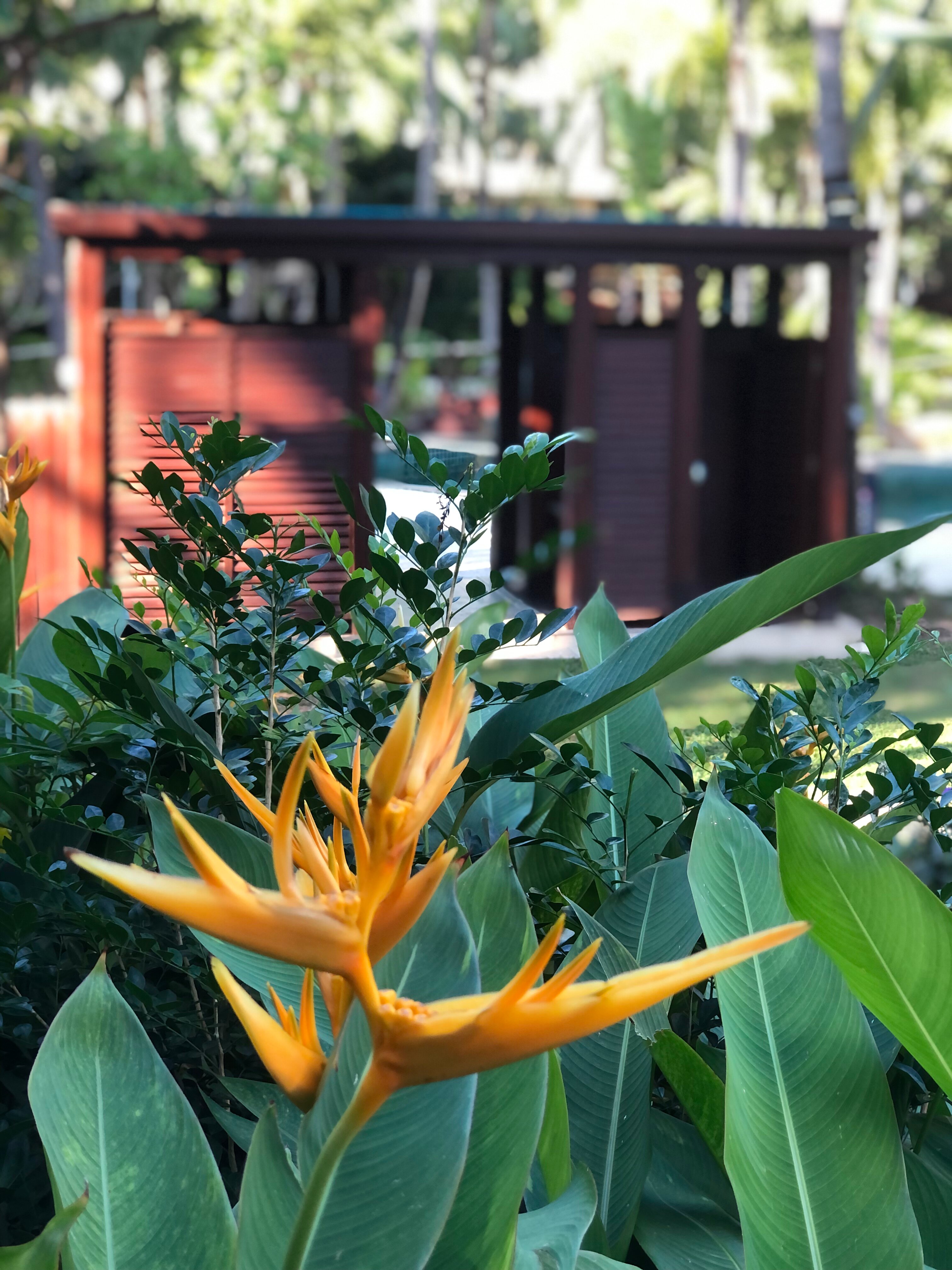 Фото Swissôtel Sanya Yalong Bay