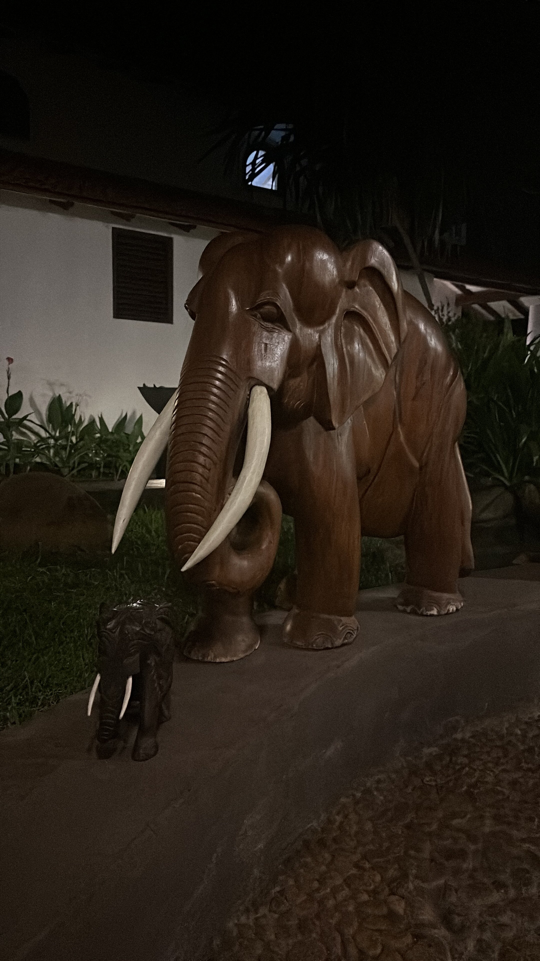 Фото Dickwella Resort and SPA